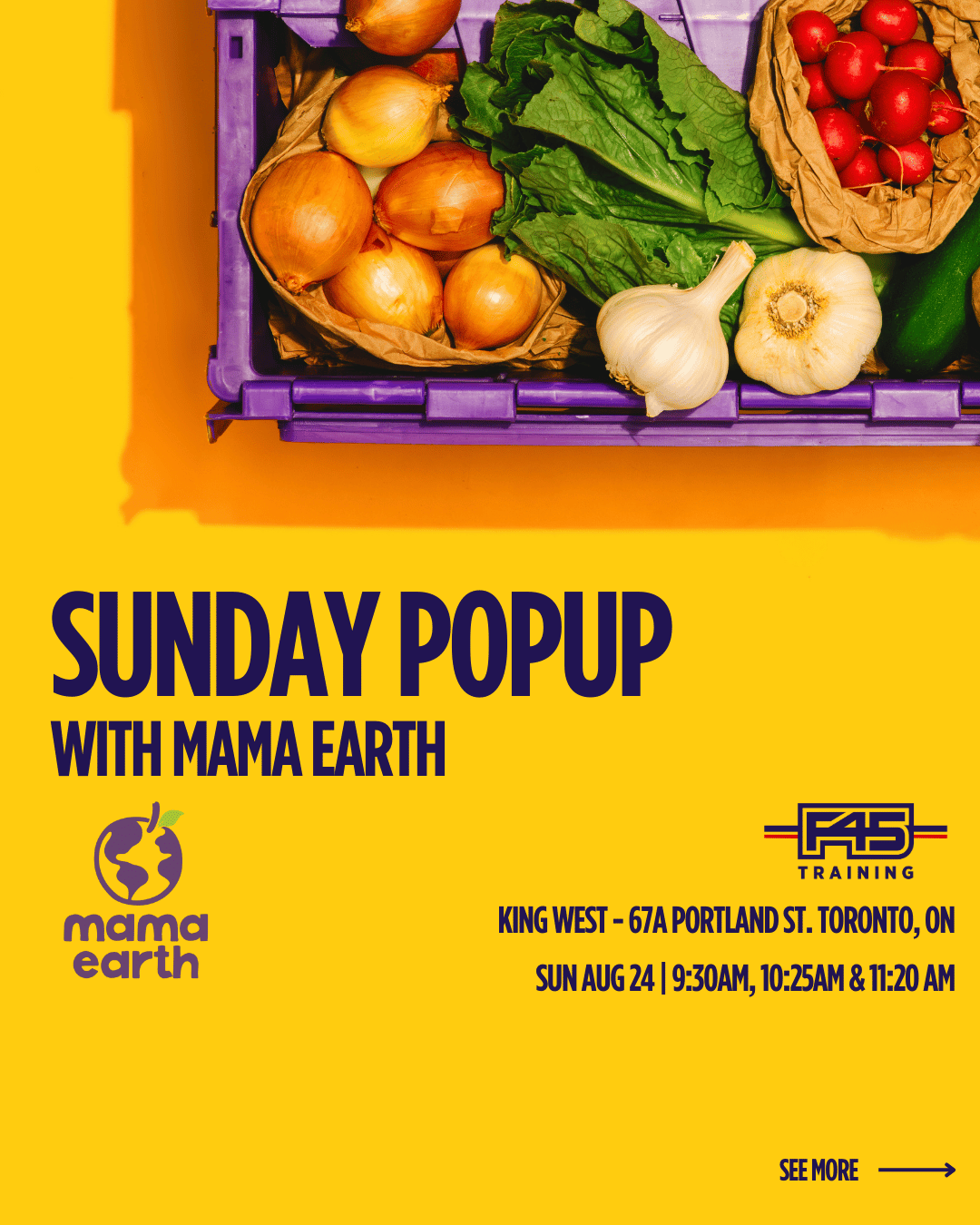 CARD 1 - OPTION 1.png