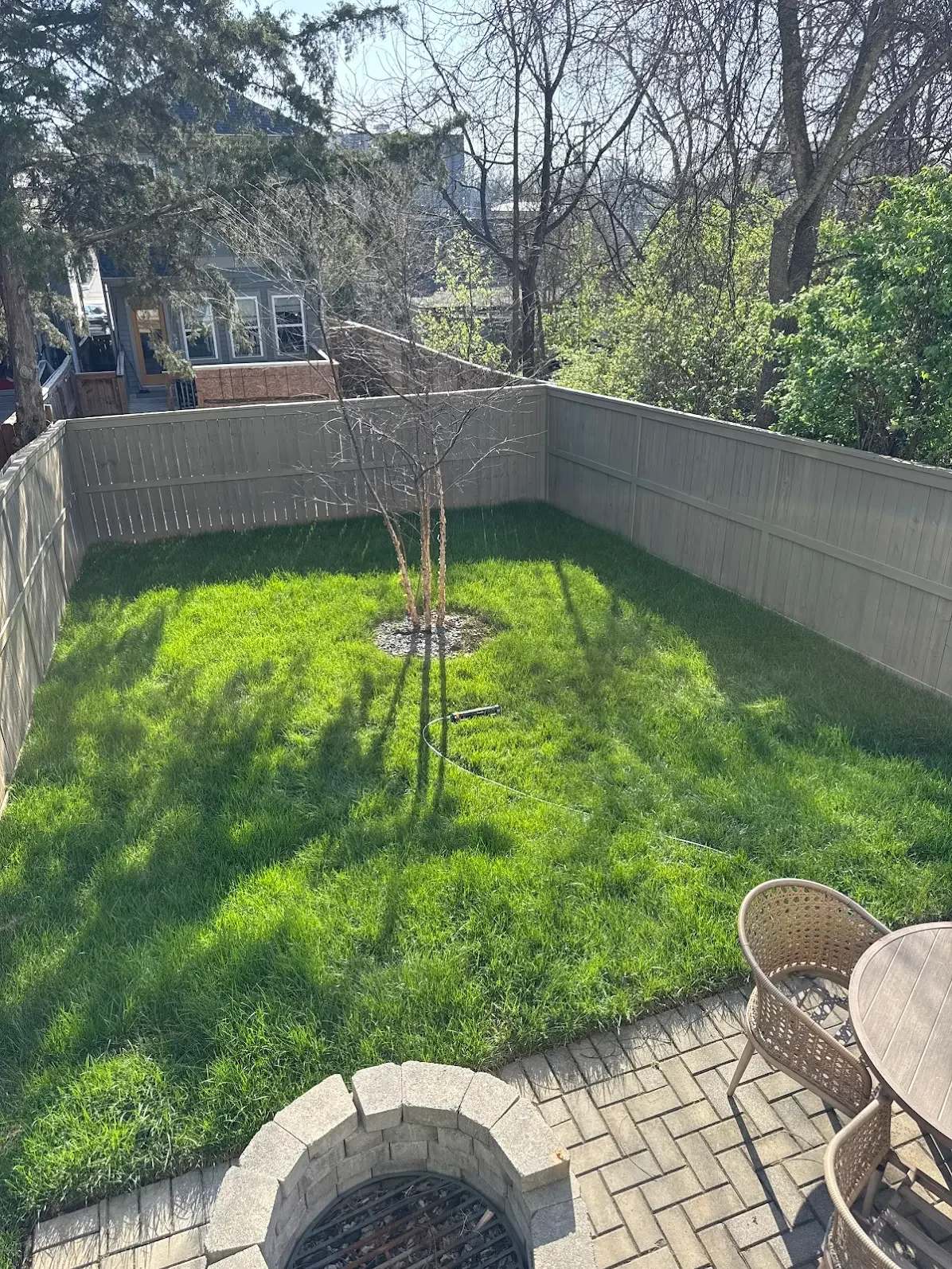 Backyard with a small tree, green grass, a wooden fence, and outdoor furniture including chairs and a table. There is a stone fire pit in the patio area.