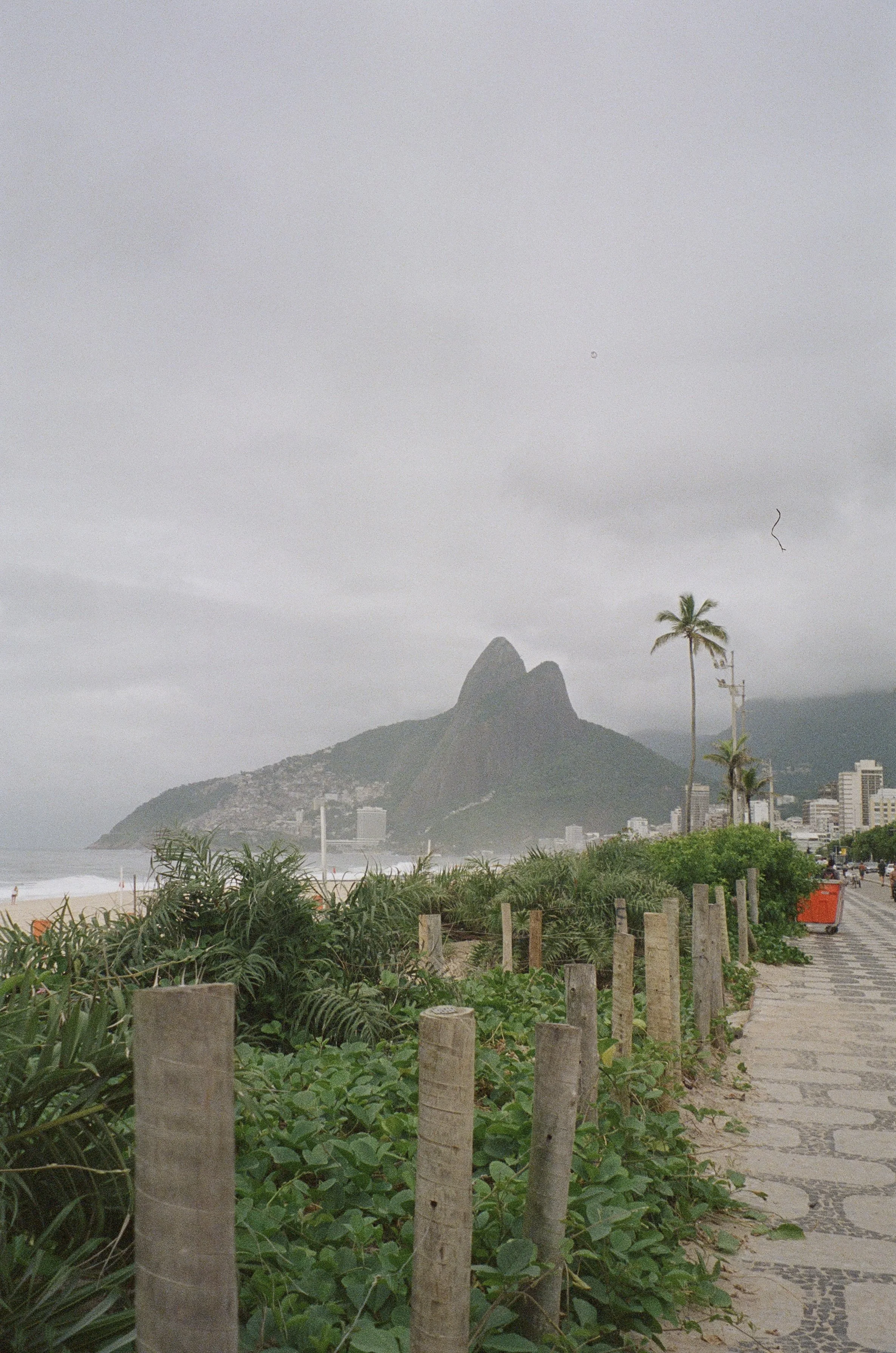 IMG_4044.jpeg