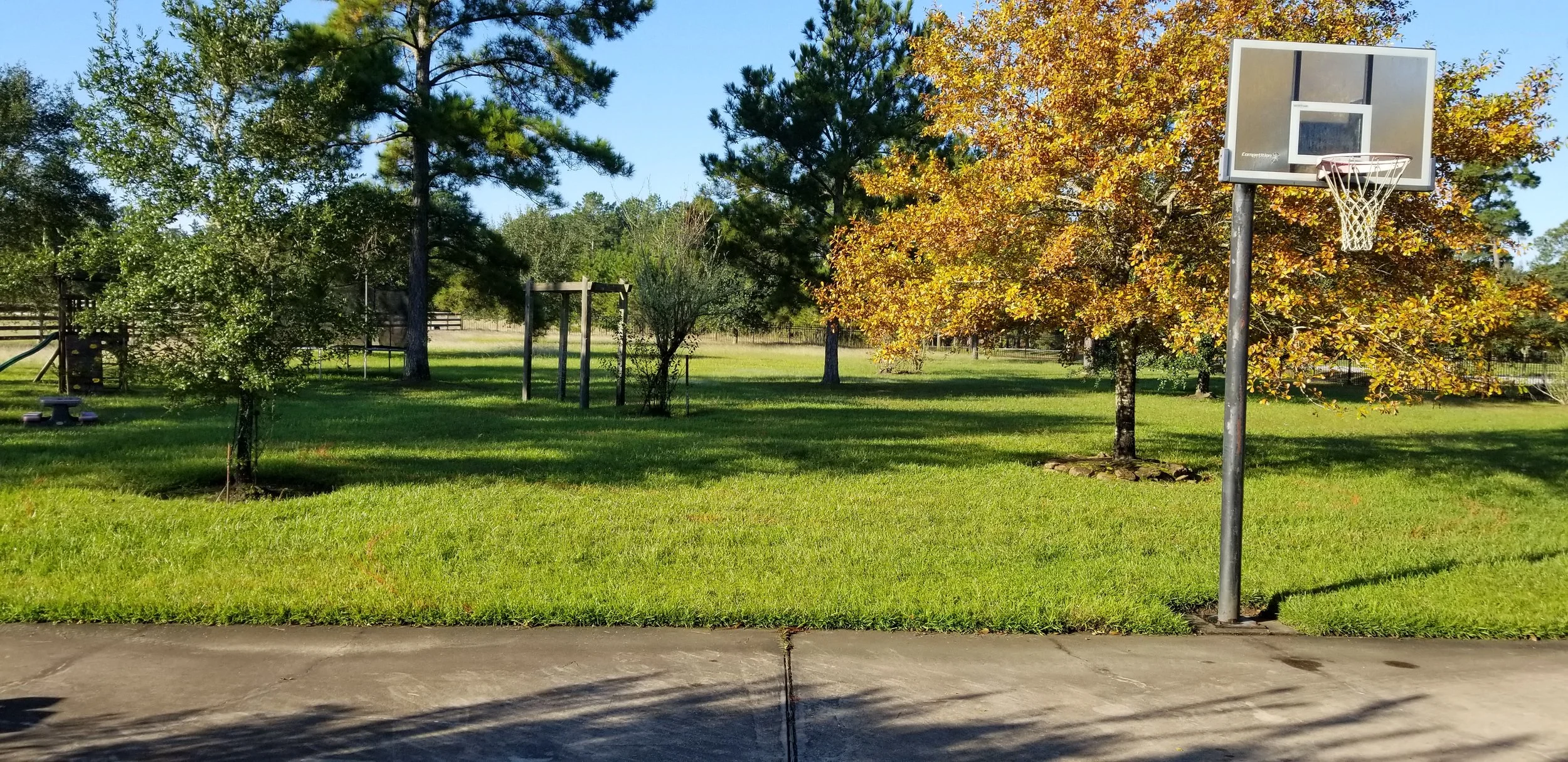 20181027_092046.jpg
