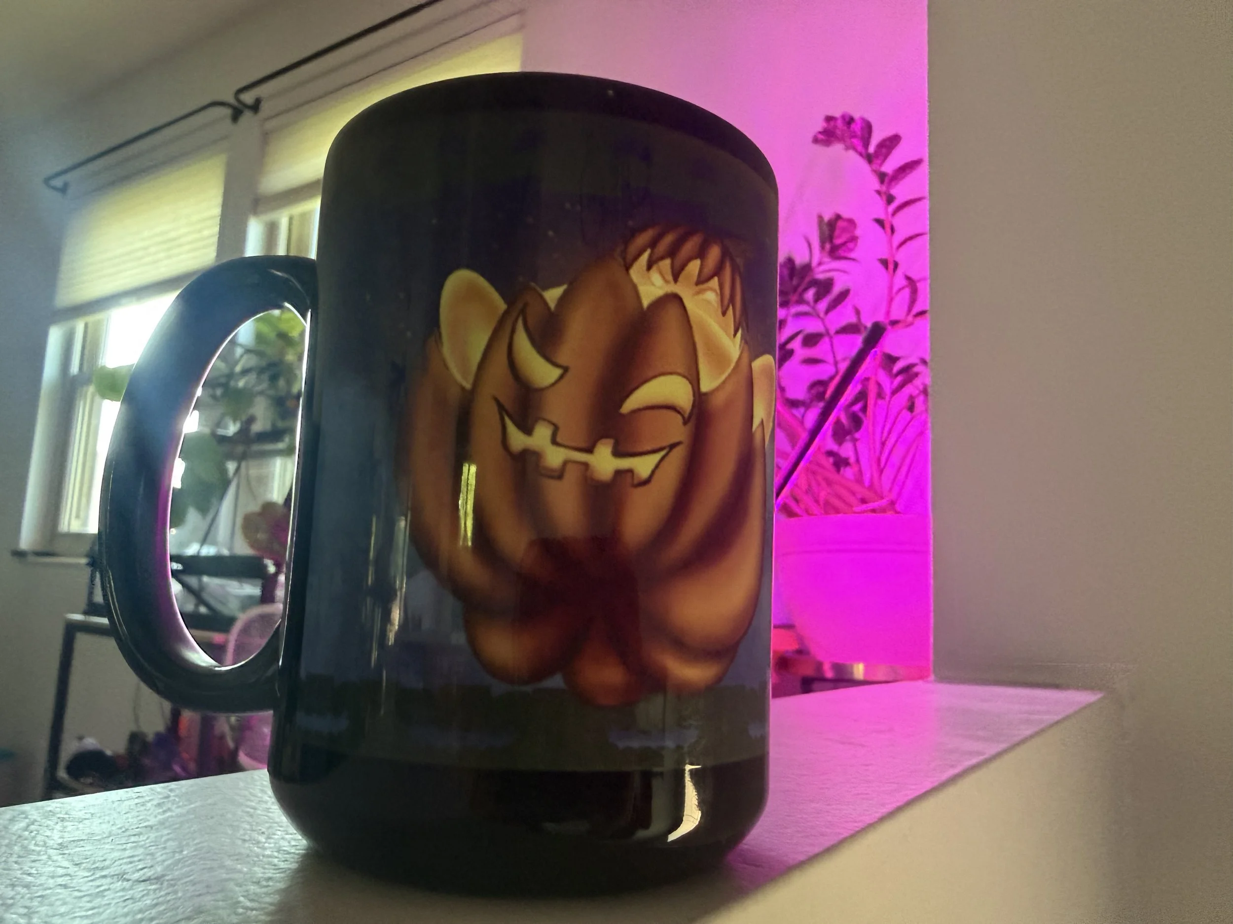 IMG_6212.jpeg