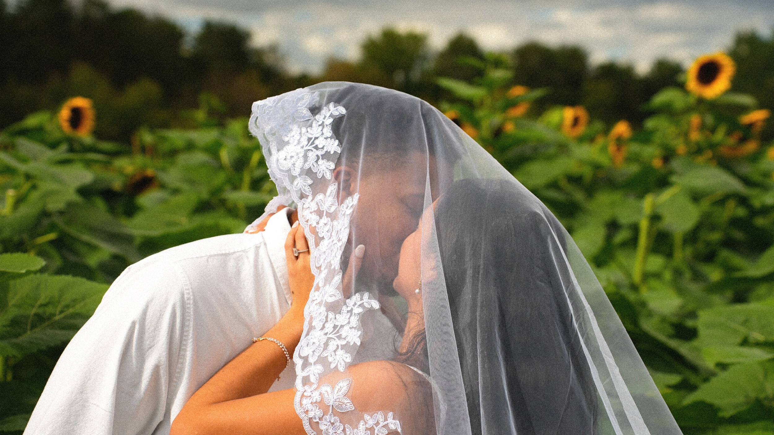 A bride and groom kiss outdoors in a sunflower field, with the bride wearing a lace veil and dress, and the groom in a white shirt.