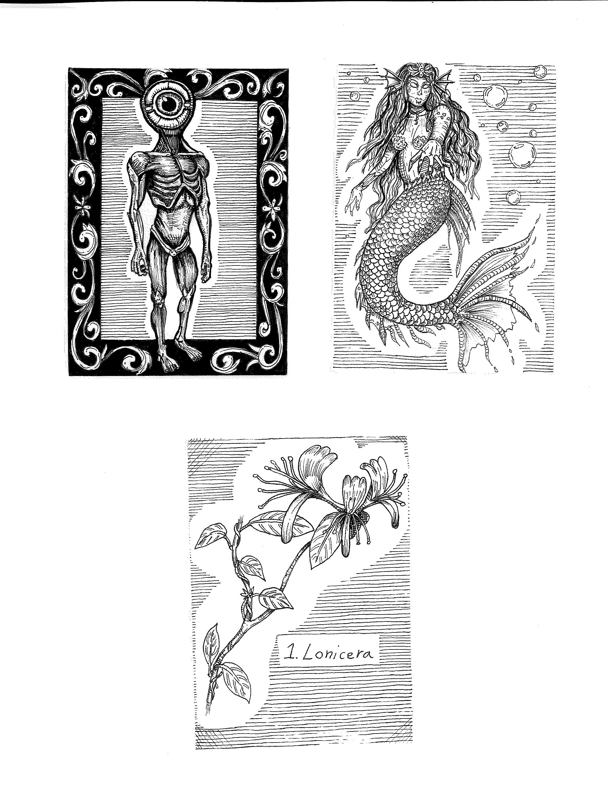 Lex ACEO round 1 FRONTS.jpg