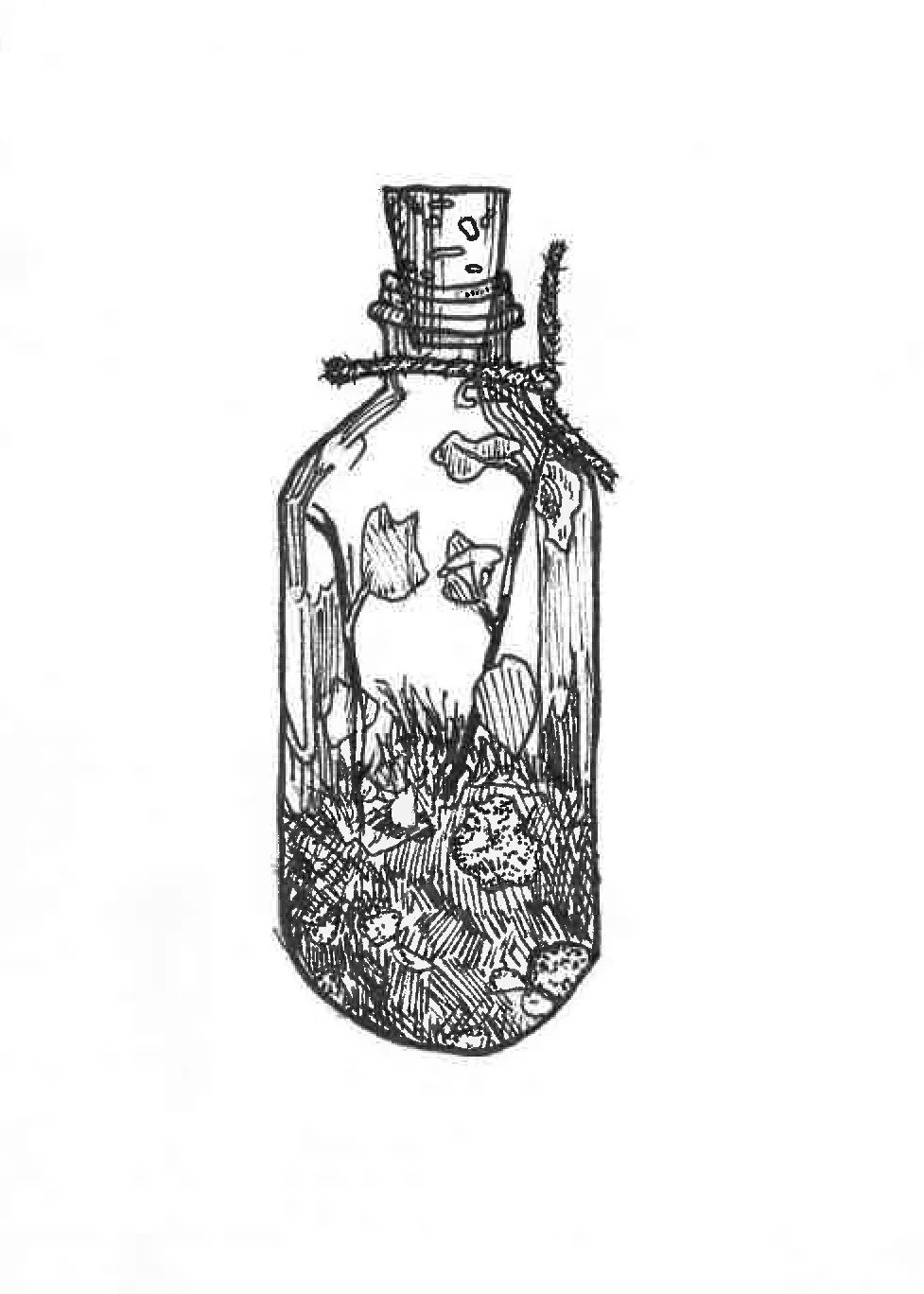 Sketch of a glass bottle with a cork, containing a forest scene with trees, rocks, plants, and a lion's face at the bottom.