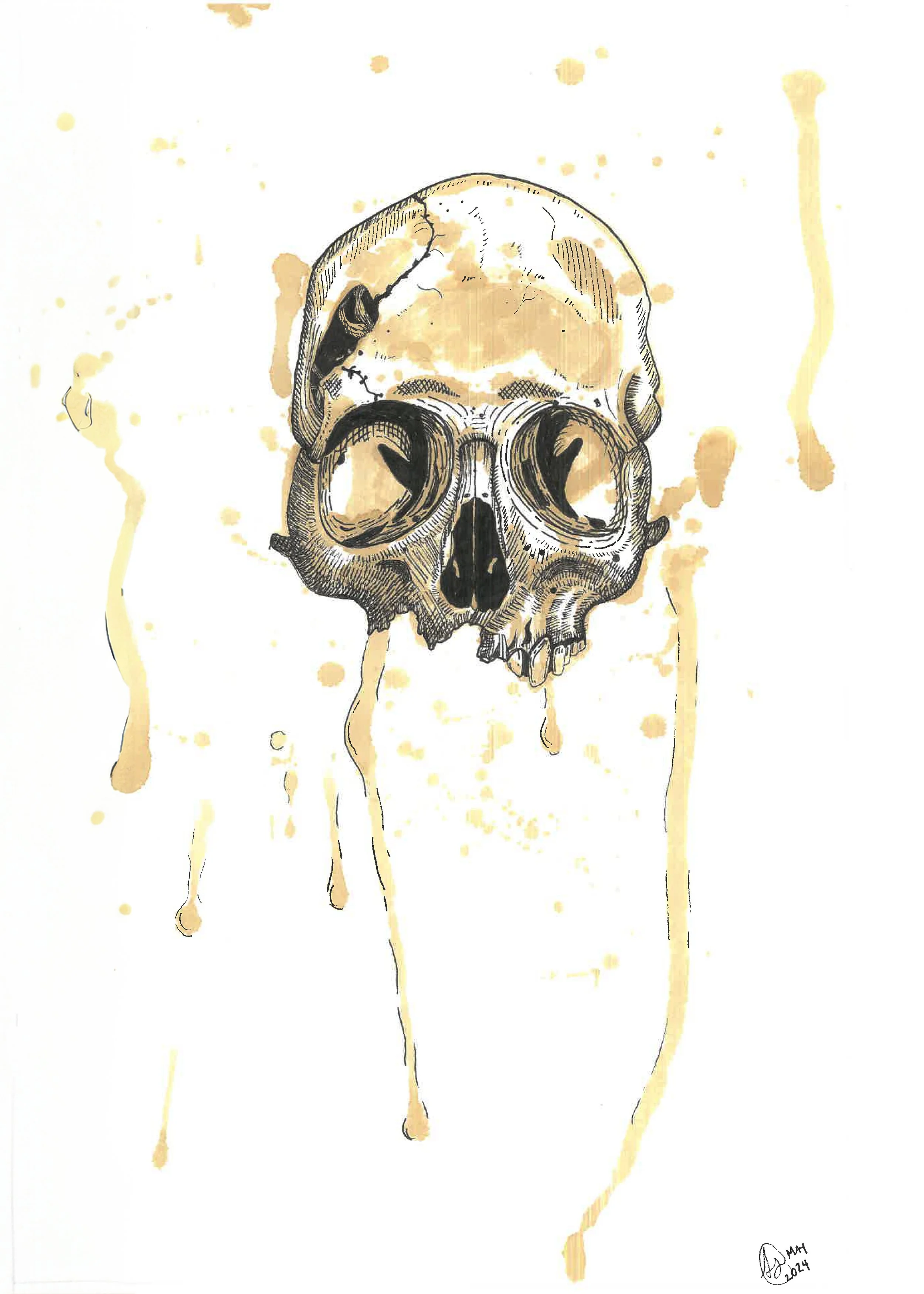 Stained Skull - Coffee Ink Print