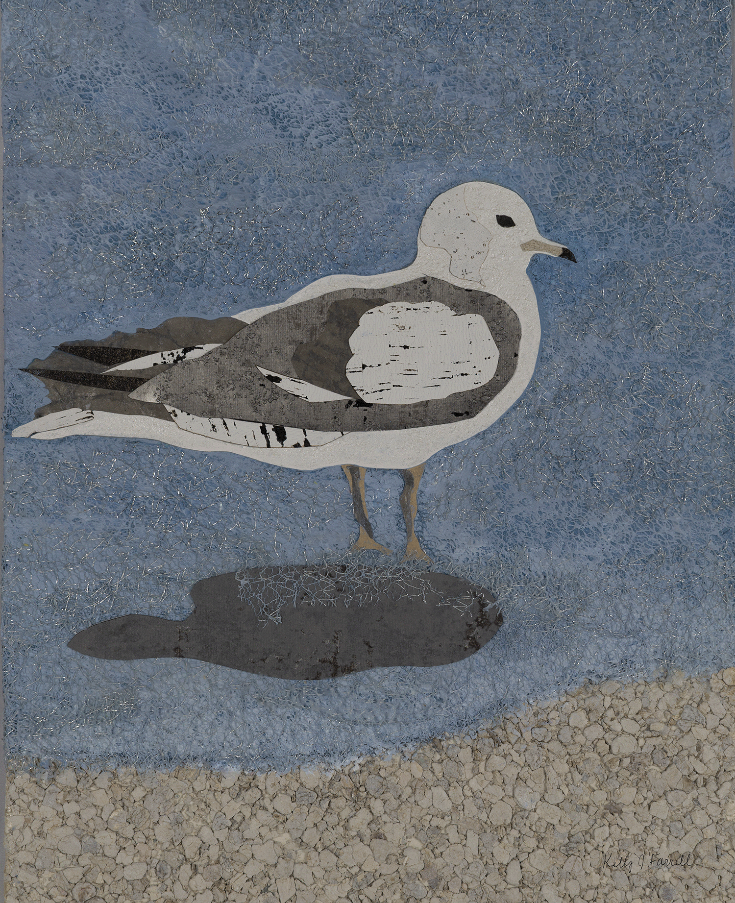 Shy Seagull