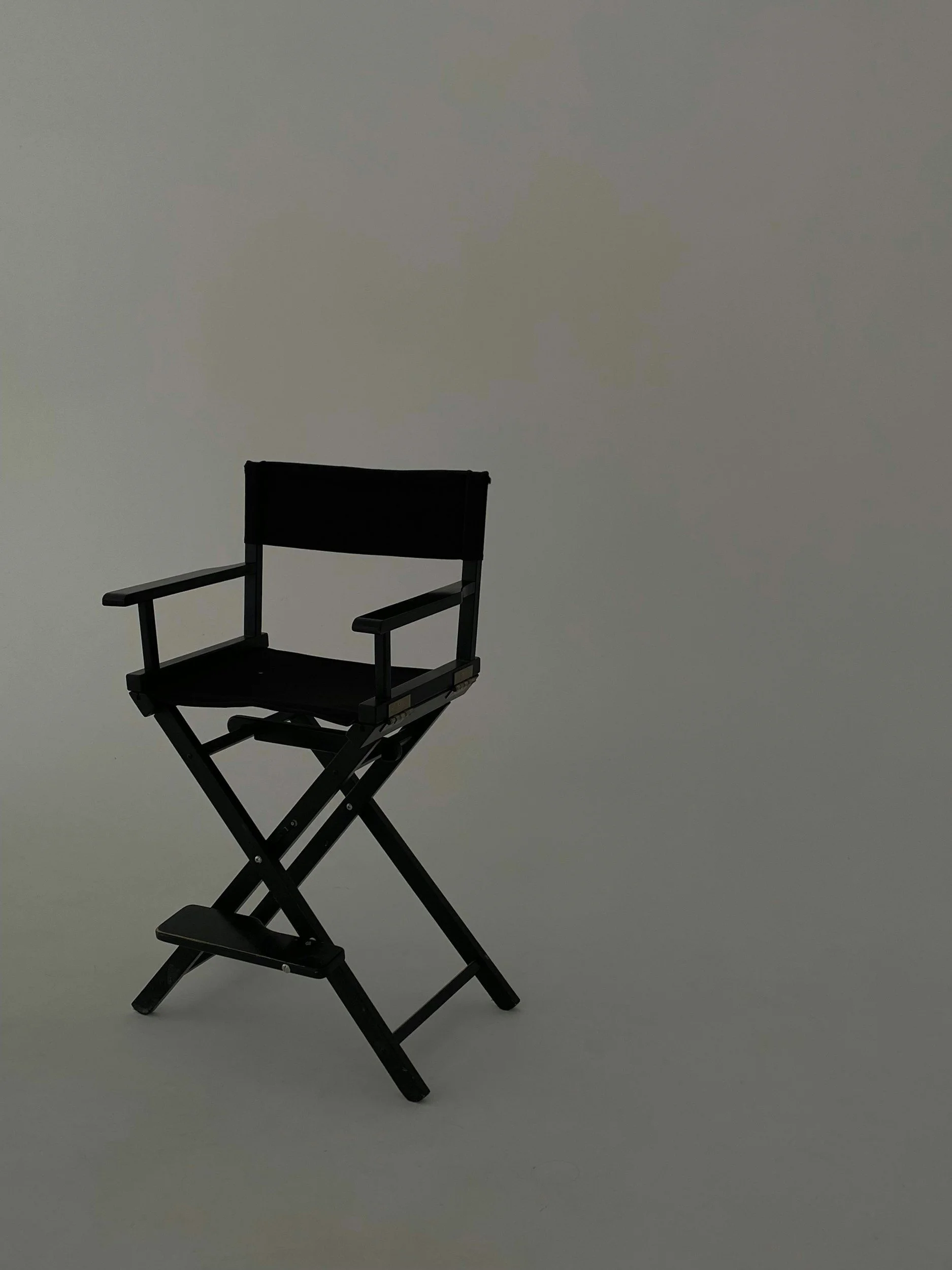 A black director's chair on a white background.