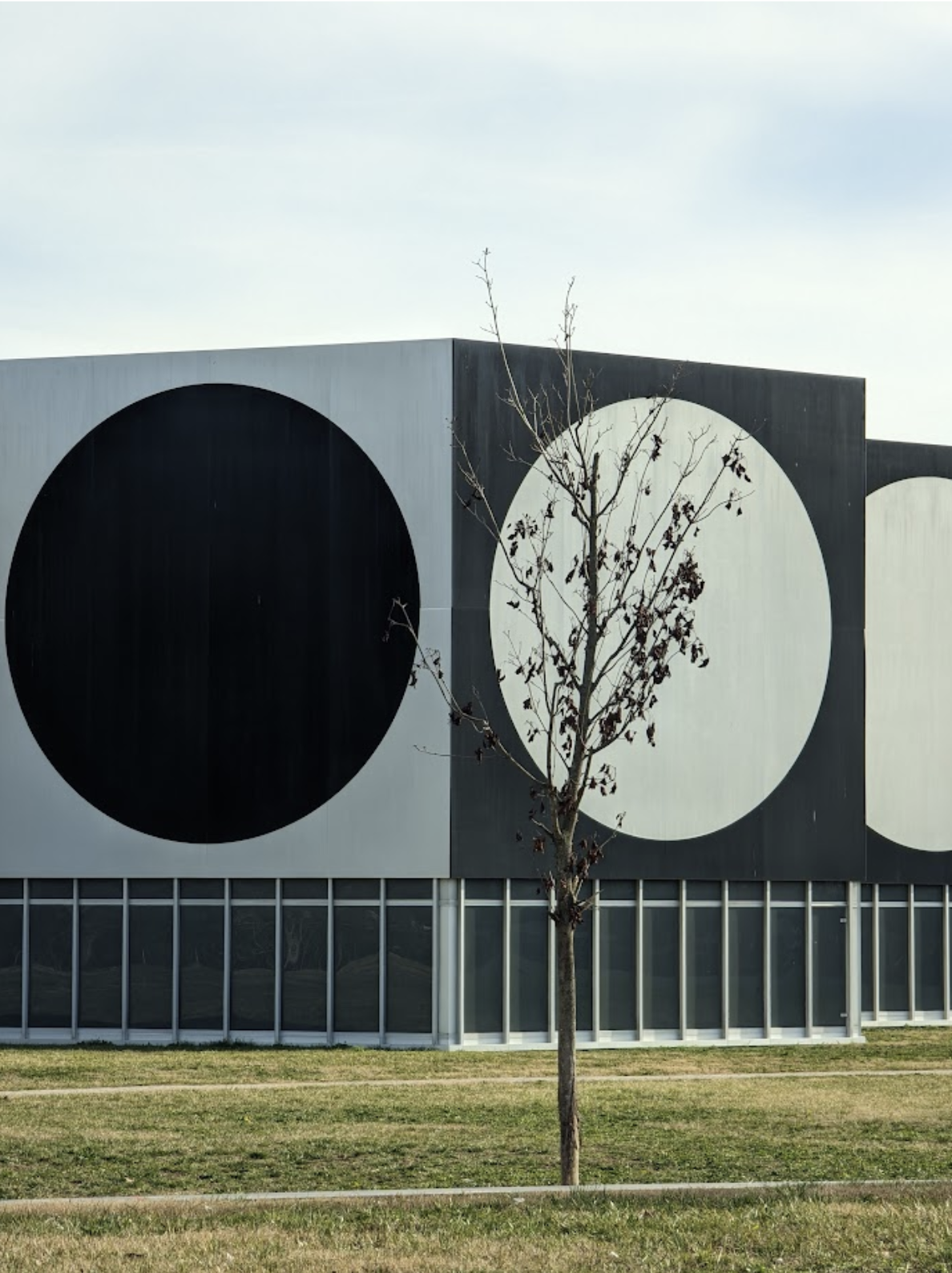A building with a modern design featuring large black and white circular patterns on its exterior wall. A leafless tree stands in front of the building, with a grassy area at the bottom.