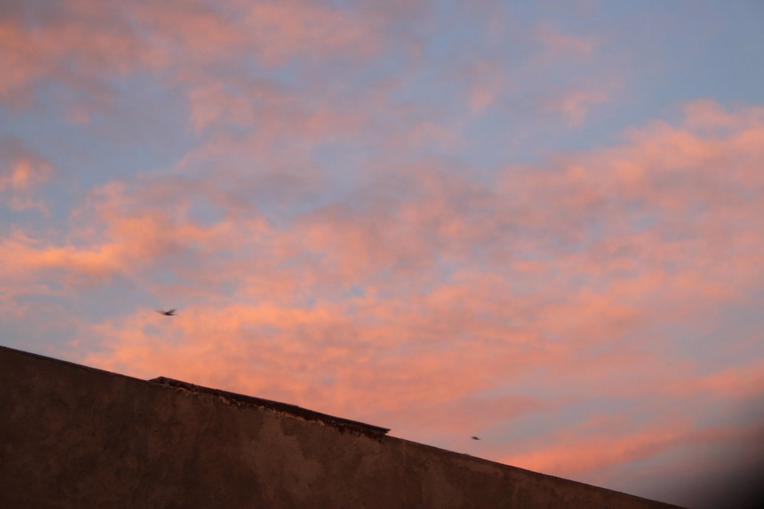 Sky during sunset with pink and blue clouds, silhouette of rooftops and two small birds flying.