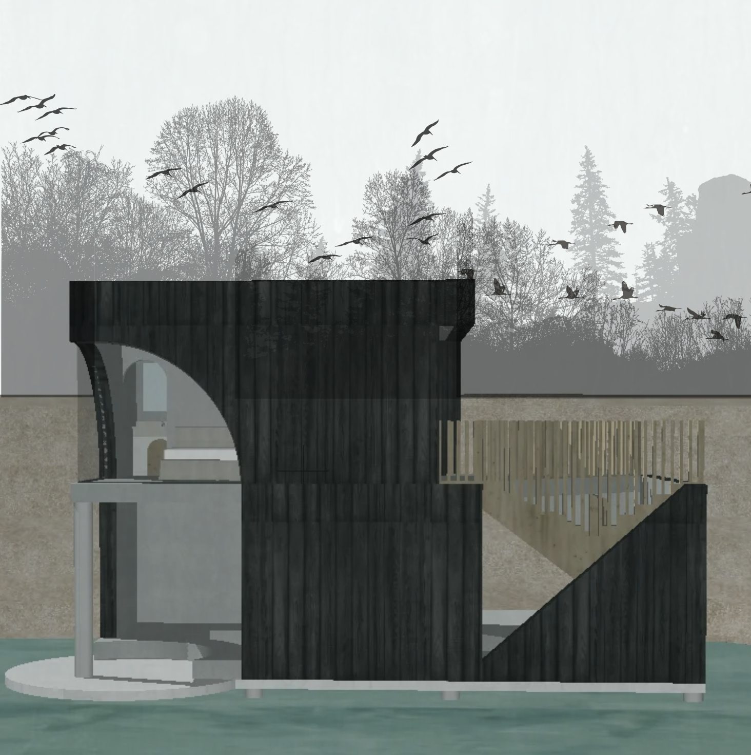 Cross-section of a building with black exterior walls, showing an interior stairway, wooden deck, and surrounding outdoor landscape with trees and flying birds.