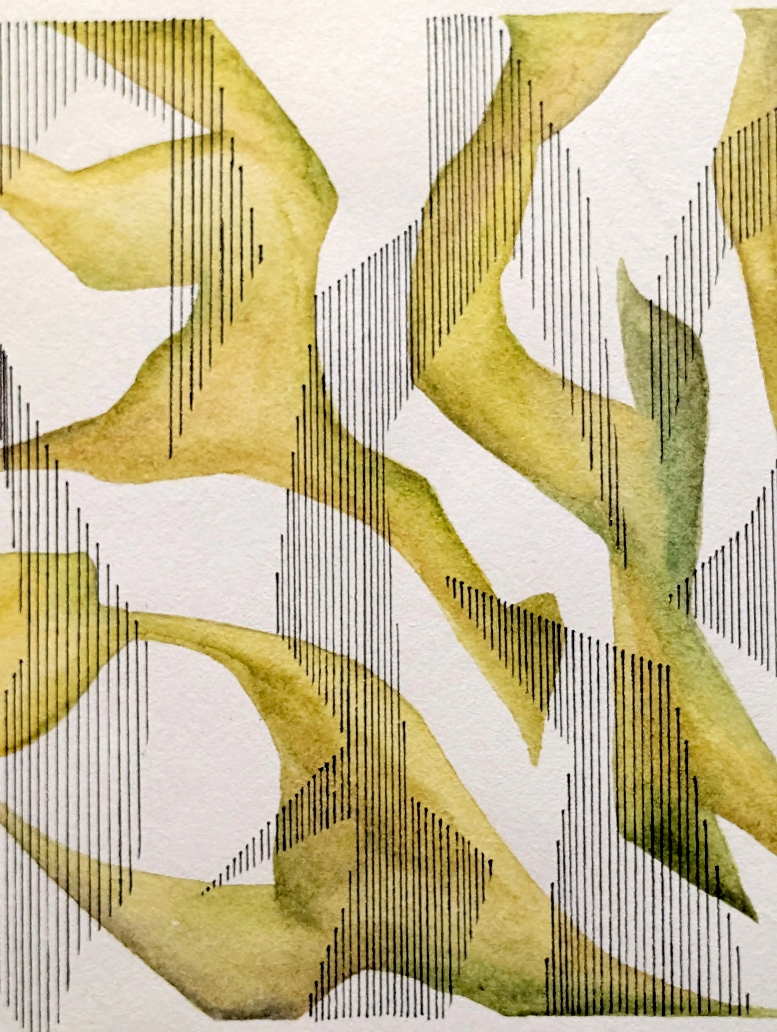 Close-up of a dollar bill with visible green and white colors, featuring intricate black line patterns and shading.