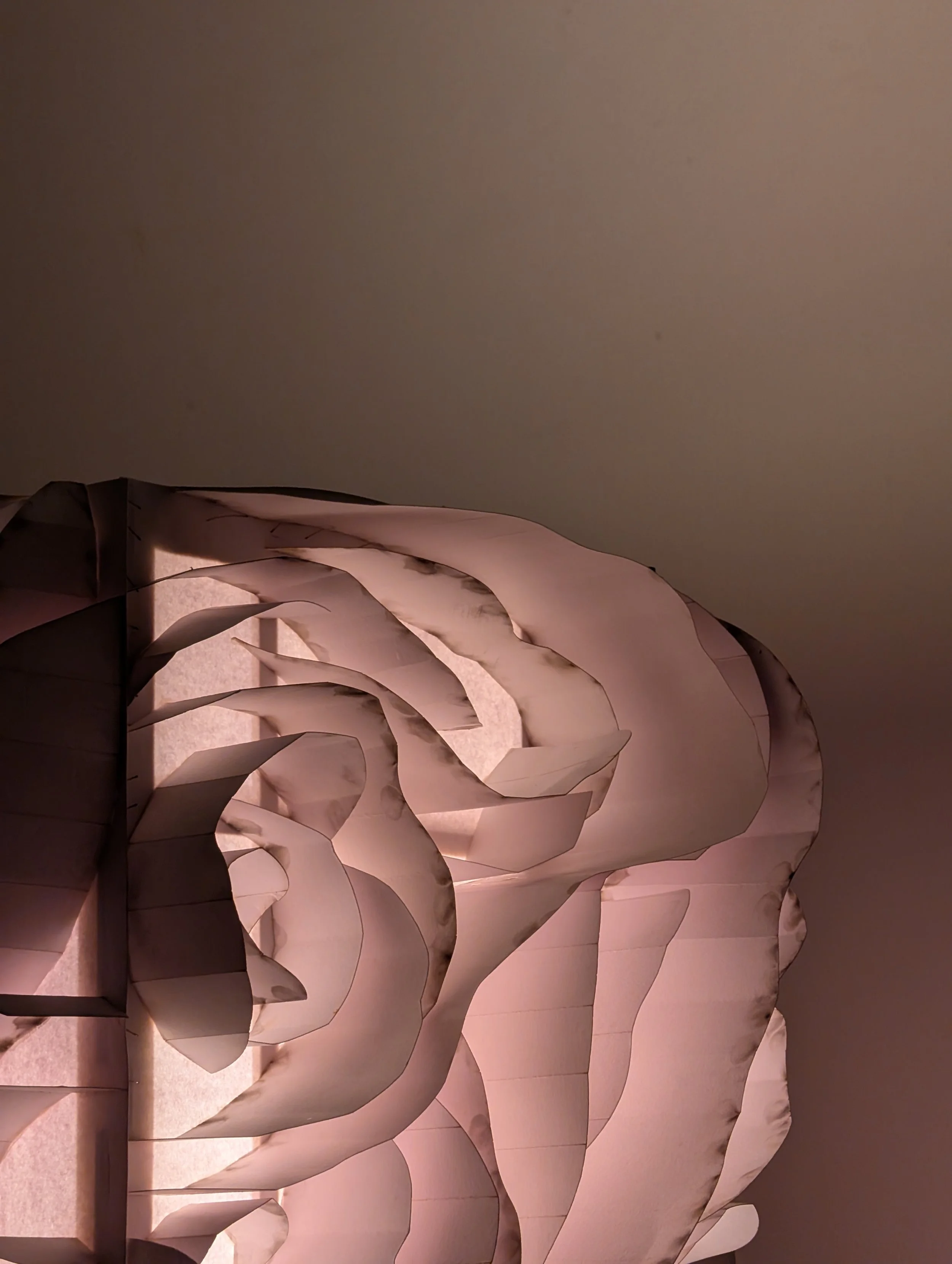 Close-up of modern, decorative, white wall-mounted sculptural art with flowing, interconnected shapes.