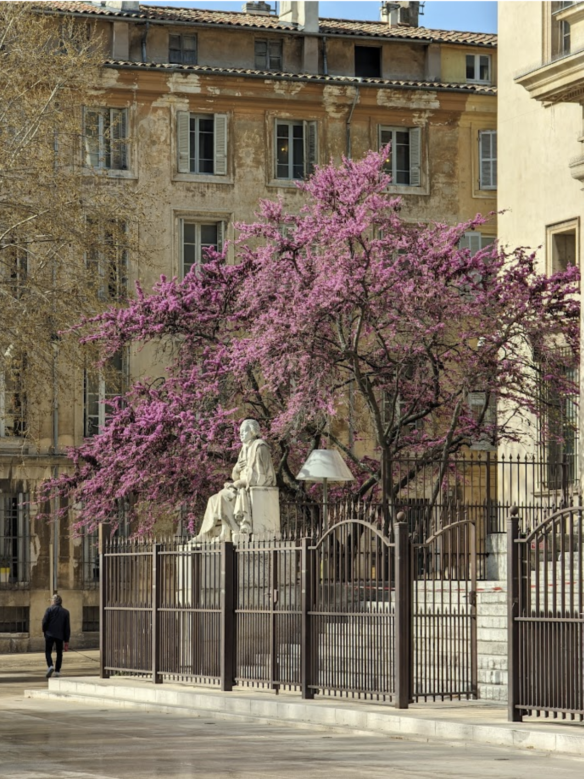 A statue of a seated man located behind a black fence, with a pink flowering tree and an old beige building with windows and shutters in the background.