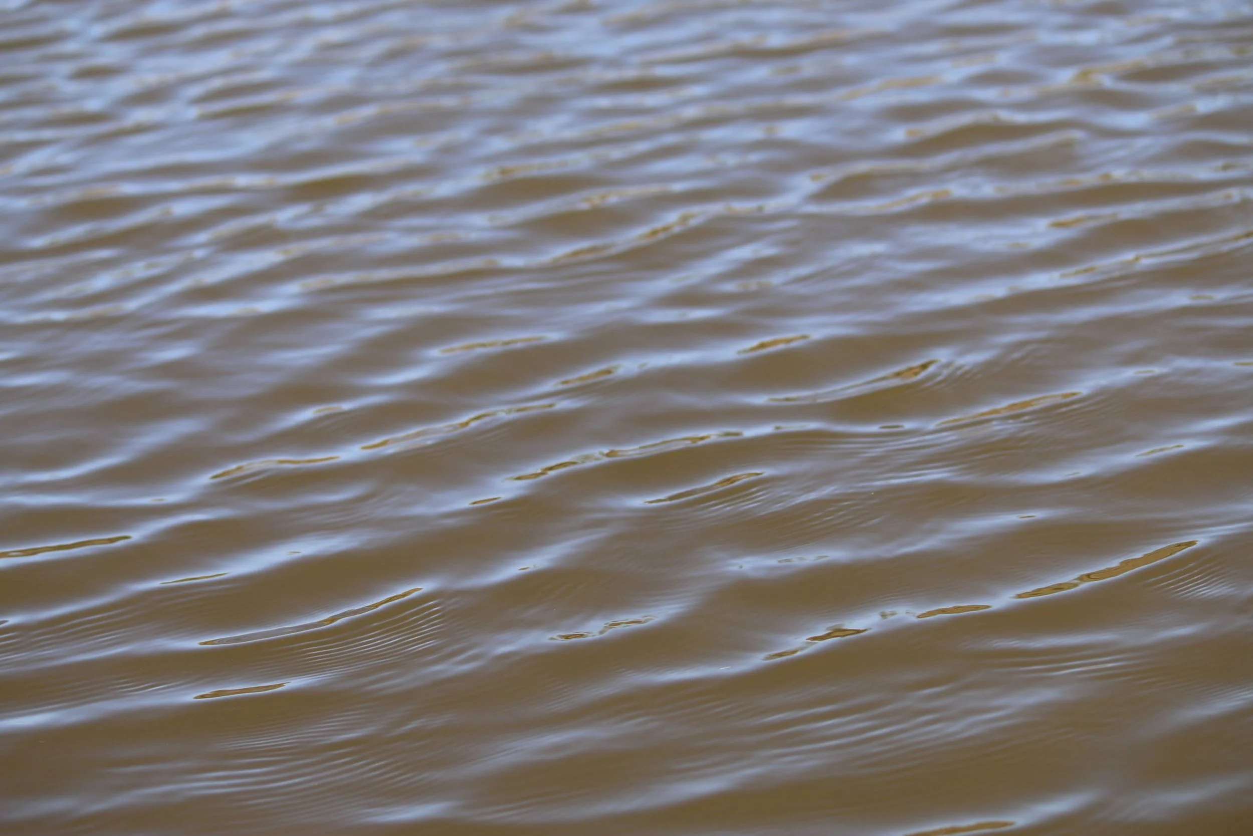 Close-up of water ripples on a brownish body of water.