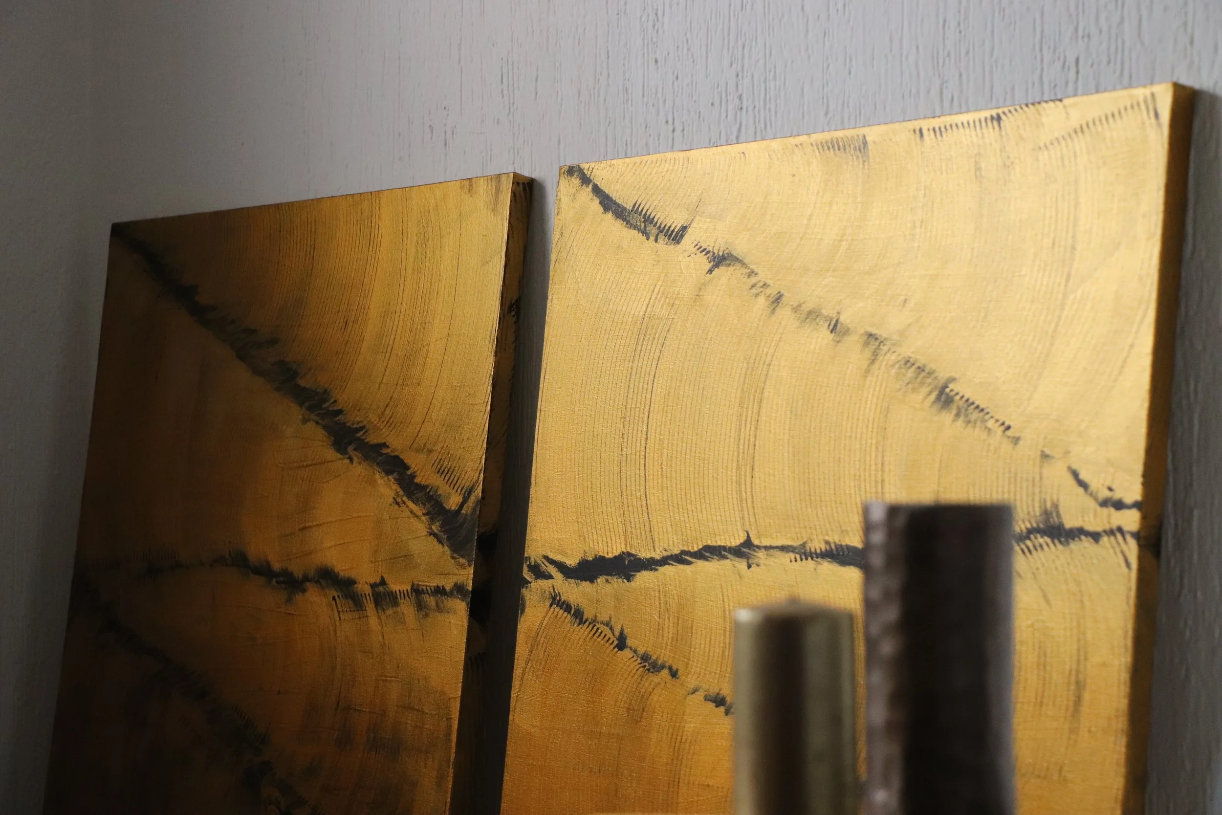 Close-up of two wooden planks with natural wood grain and dark markings, leaning against a light-colored wall.