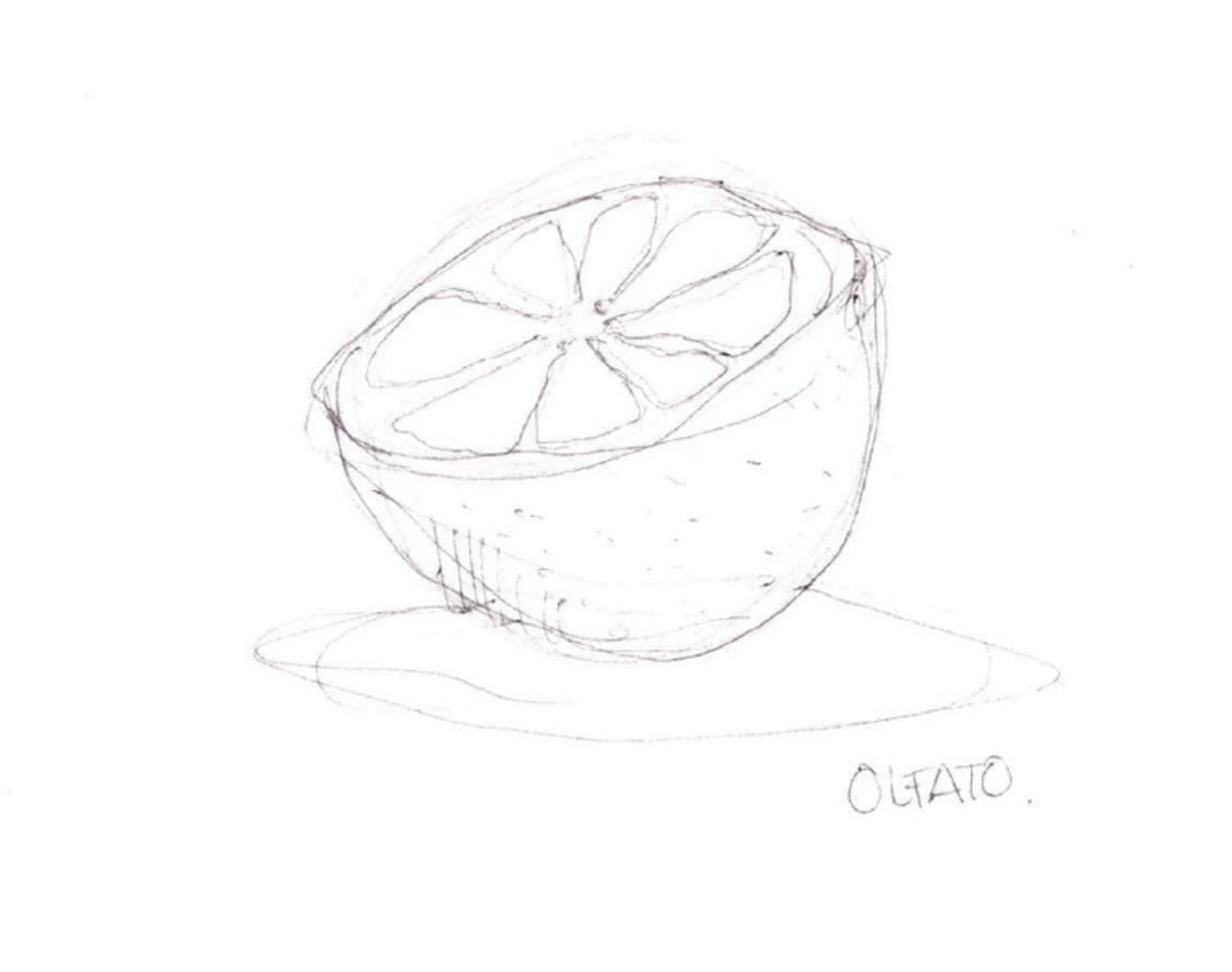 Sketch of a lemon half with visible interior segments, placed on a simple surface. The word 'OLIATO' is written below the lemon.