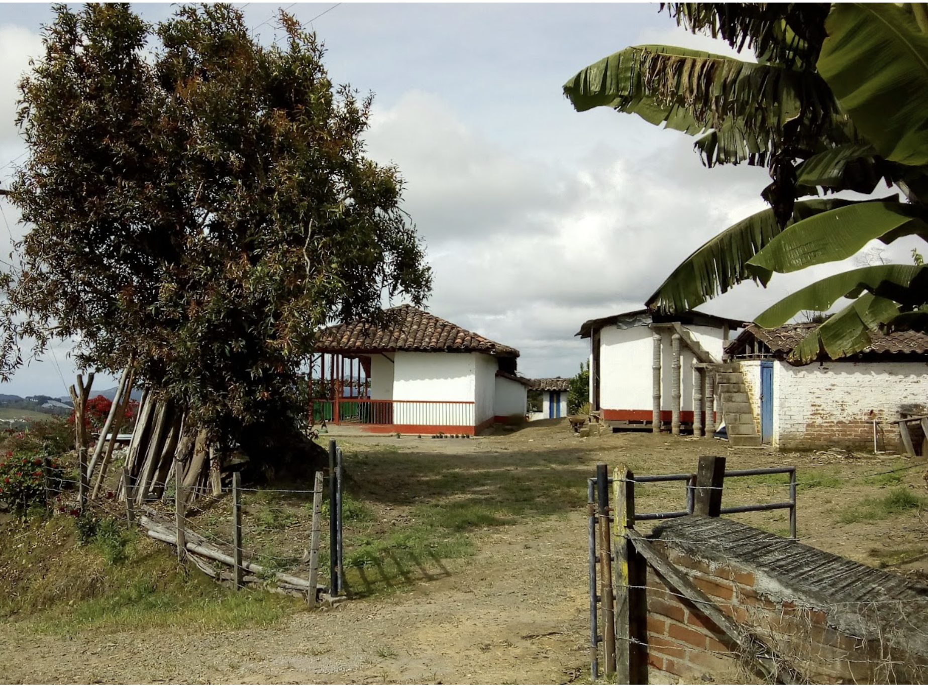 A rural scene with a large tree on the left and several small houses with tiled roofs on the right, surrounded by a dirt yard and a simple wire fence, under a cloudy sky.