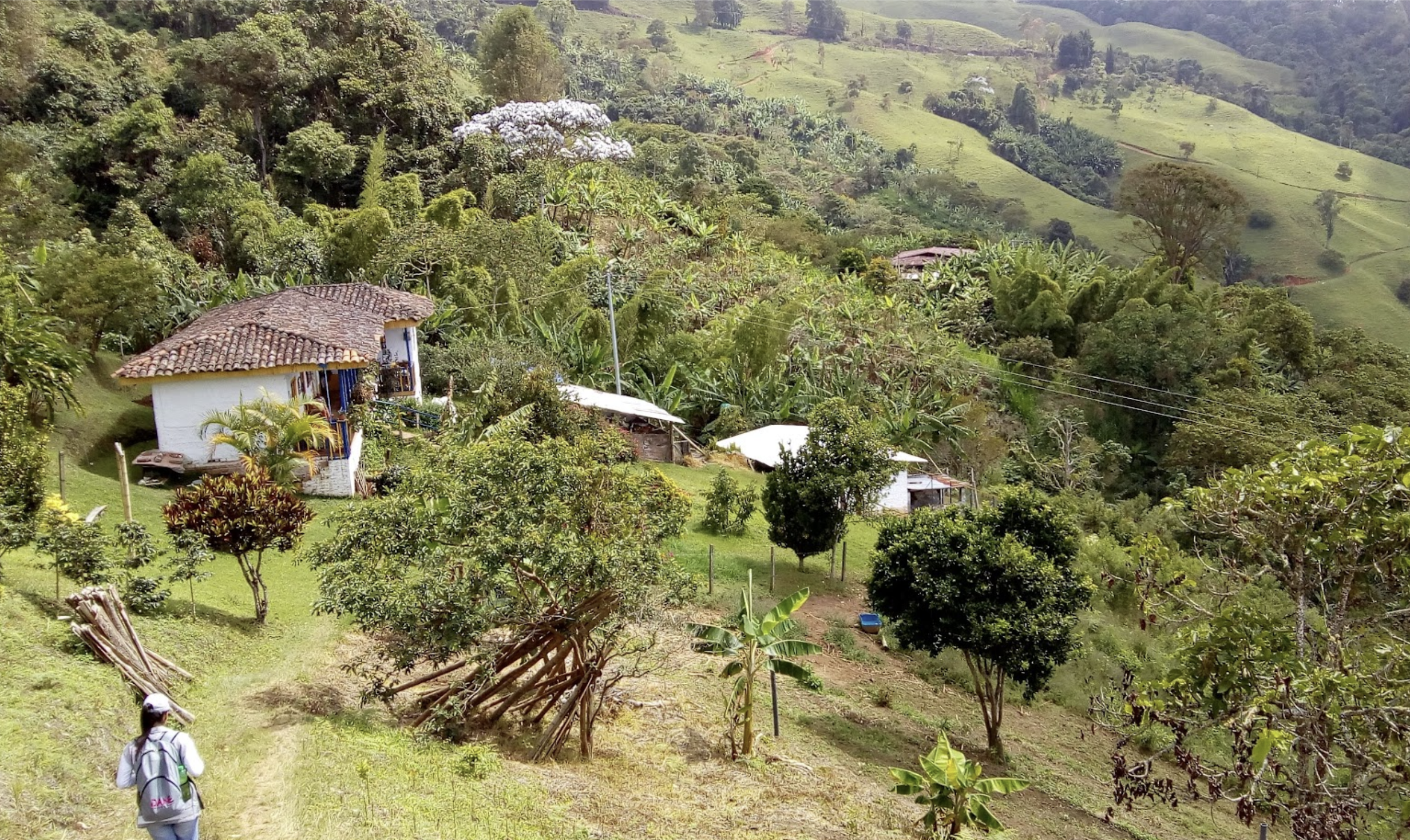 A lush green hillside with scattered houses and a variety of trees, including a white flowering tree in the background. Two people are walking down a grassy slope in the foreground.