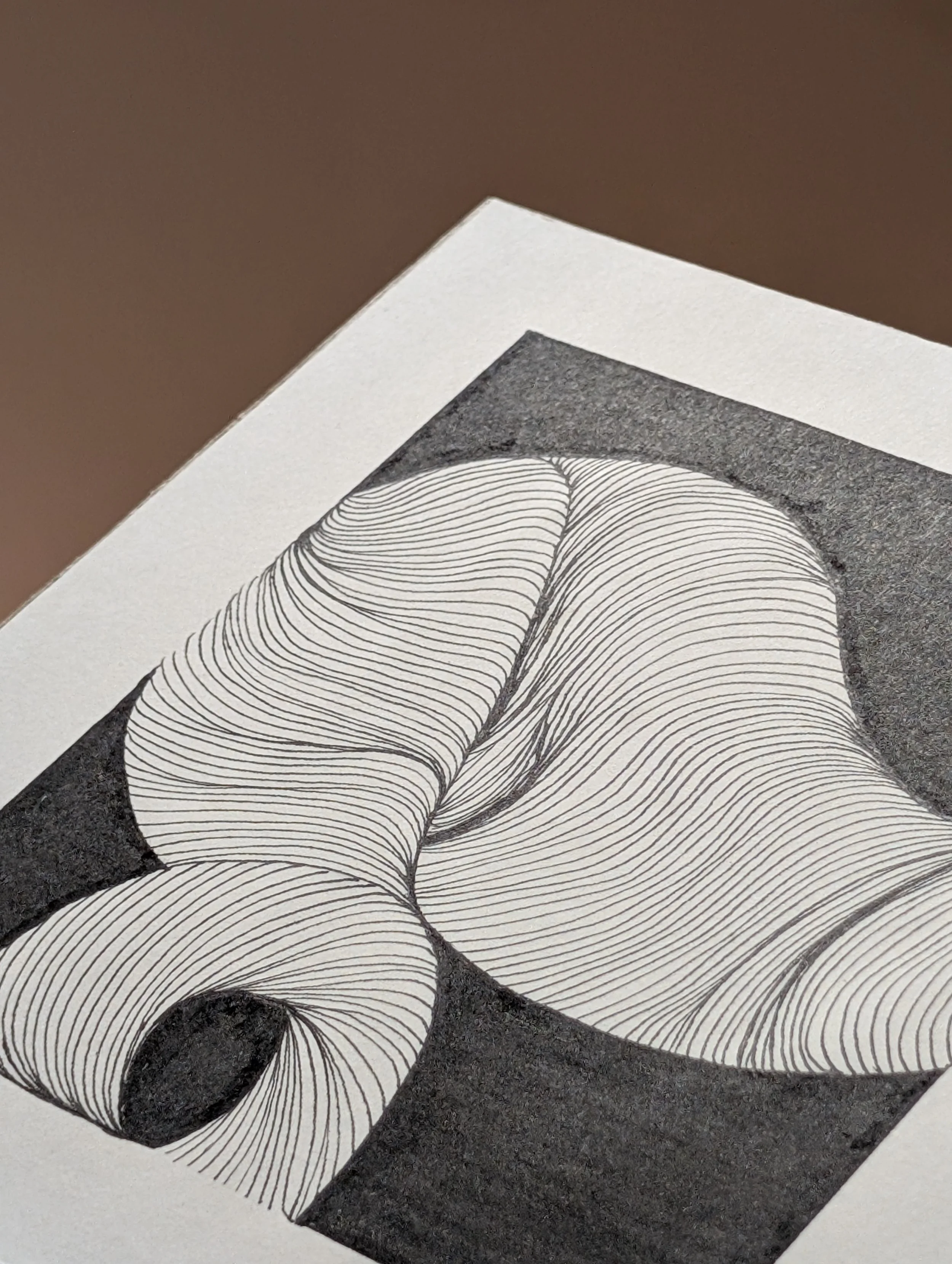 Close-up of a black and white abstract drawing with curved lines on a textured dark background.