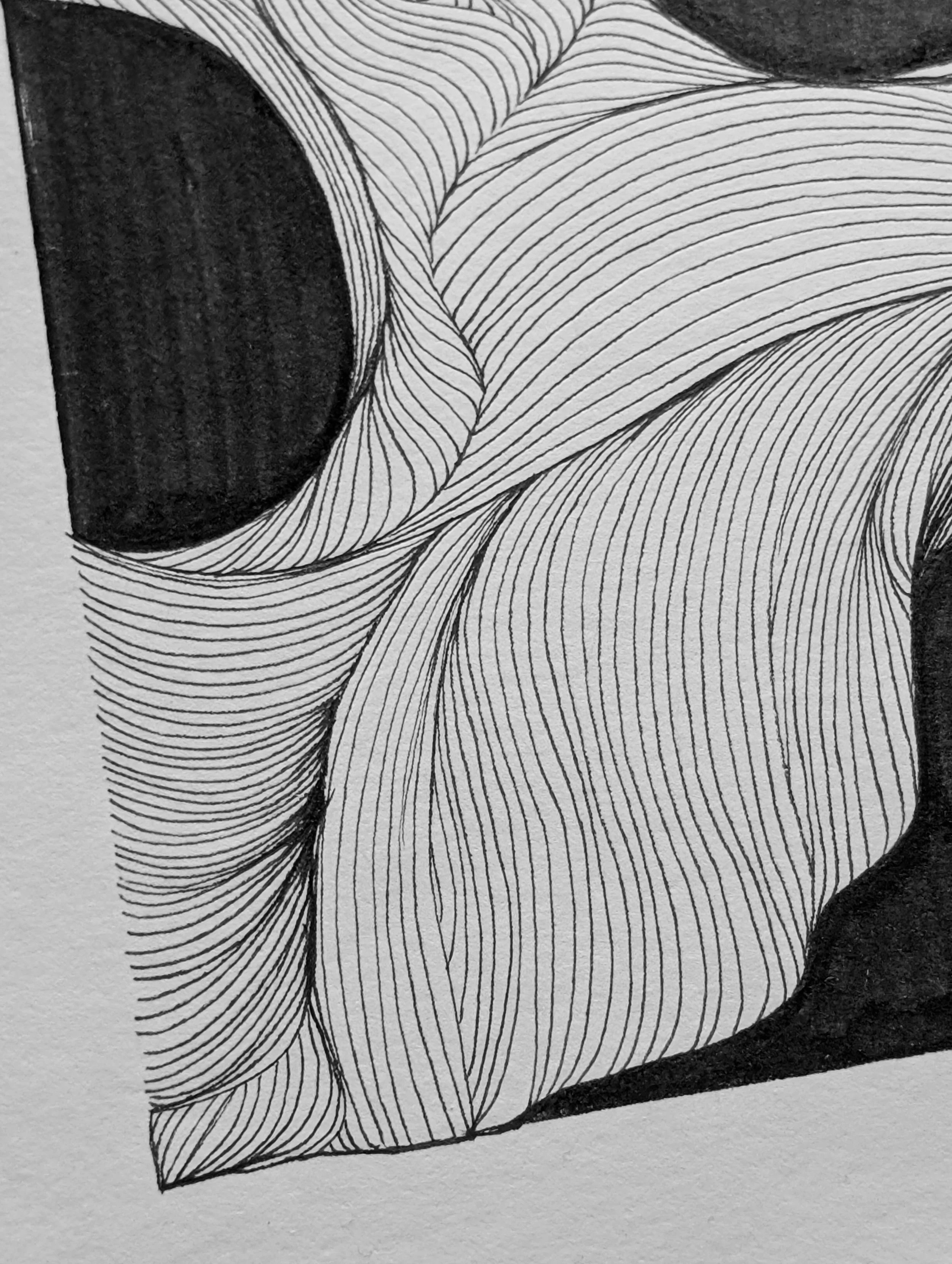 Close-up black and white drawing of abstract, flowing line patterns on textured paper.