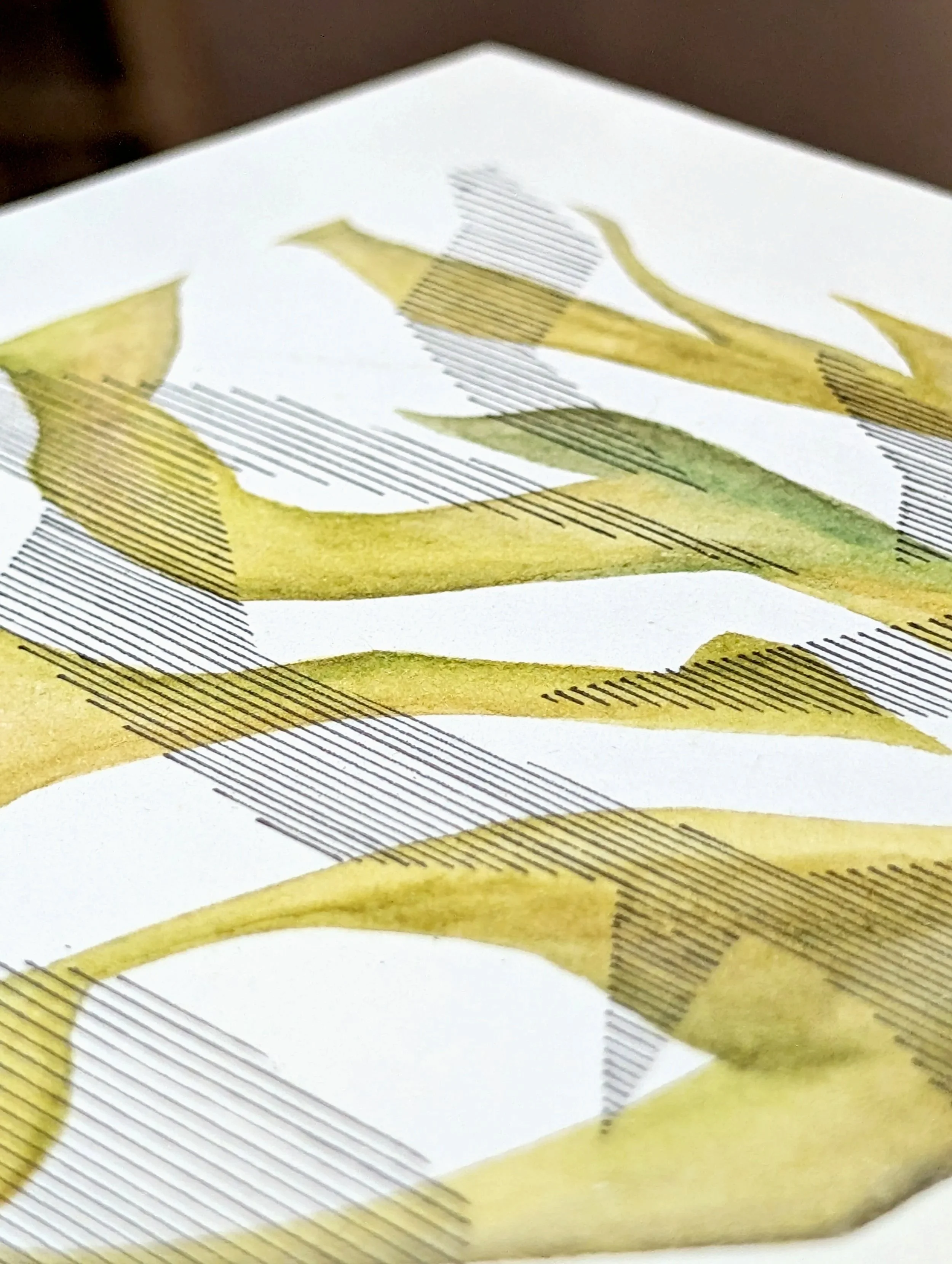 Close-up of a plant illustration with detailed linework and watercolor shading, showing a flower with elongated petals and a leafy stem.