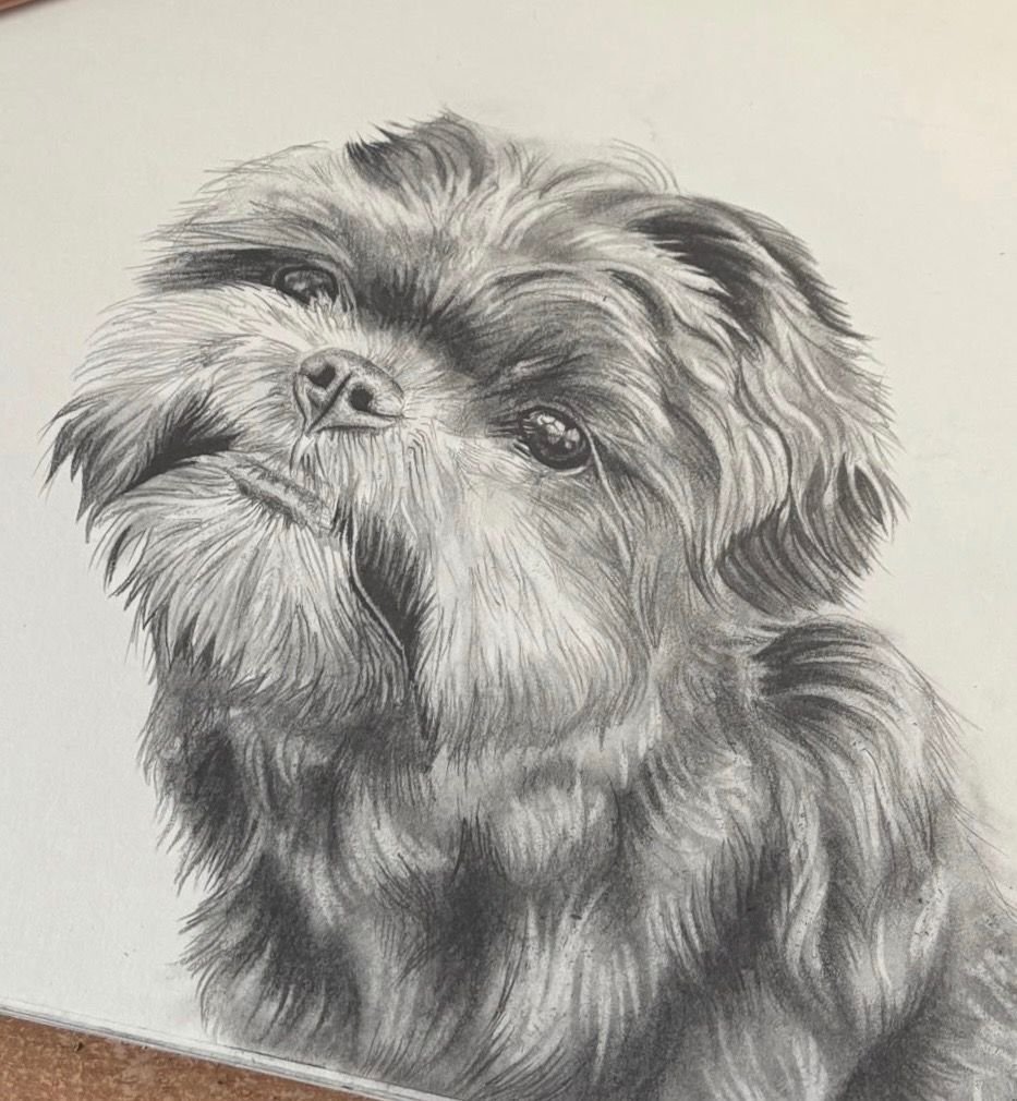 Dog Commission