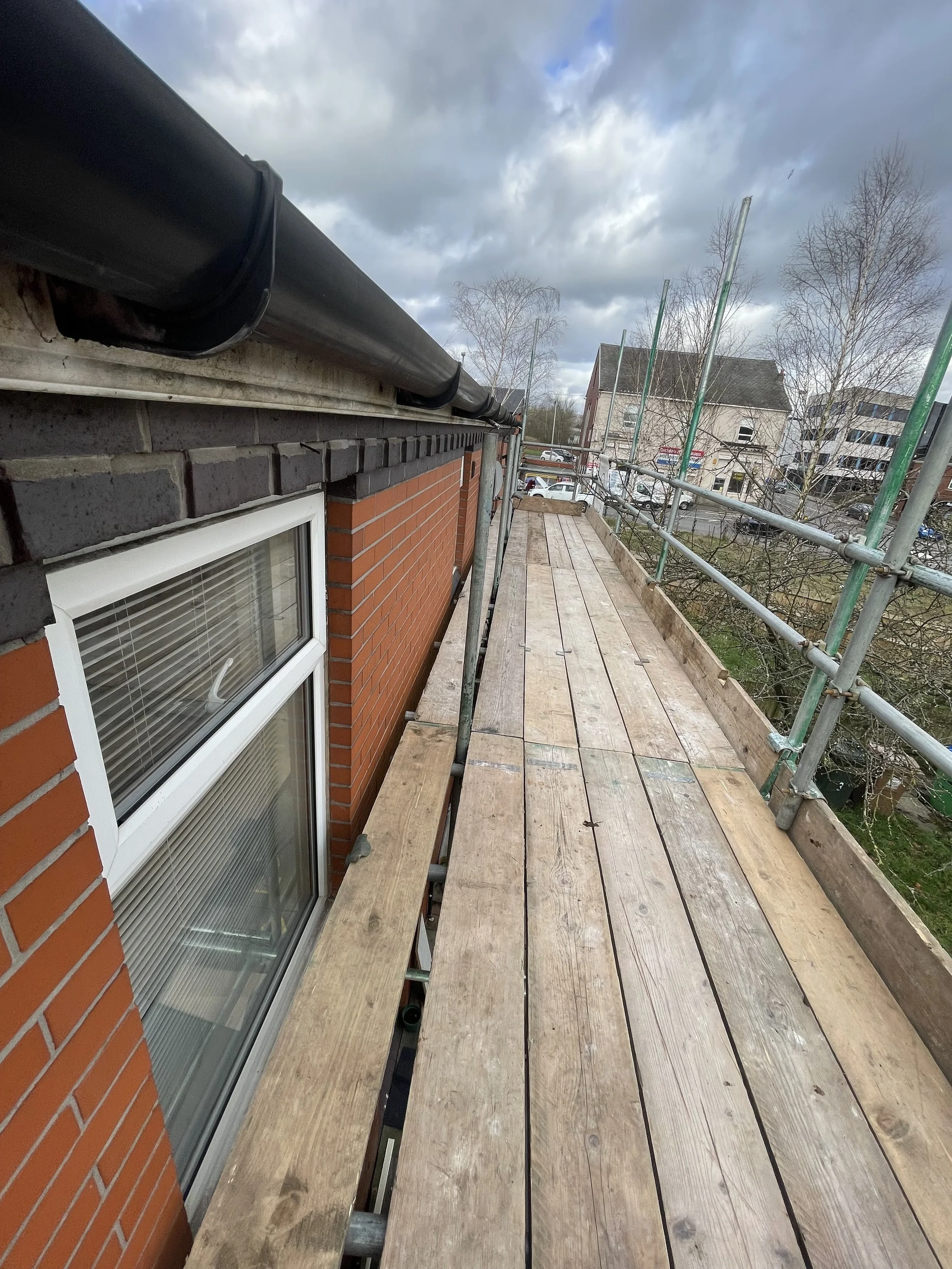 back of property 4.jpeg