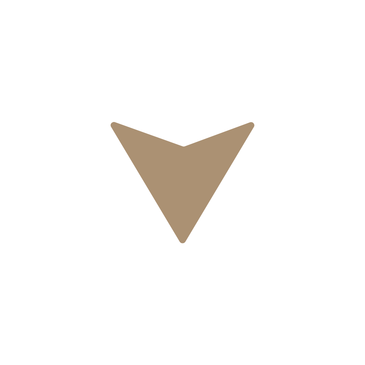 icone triangle