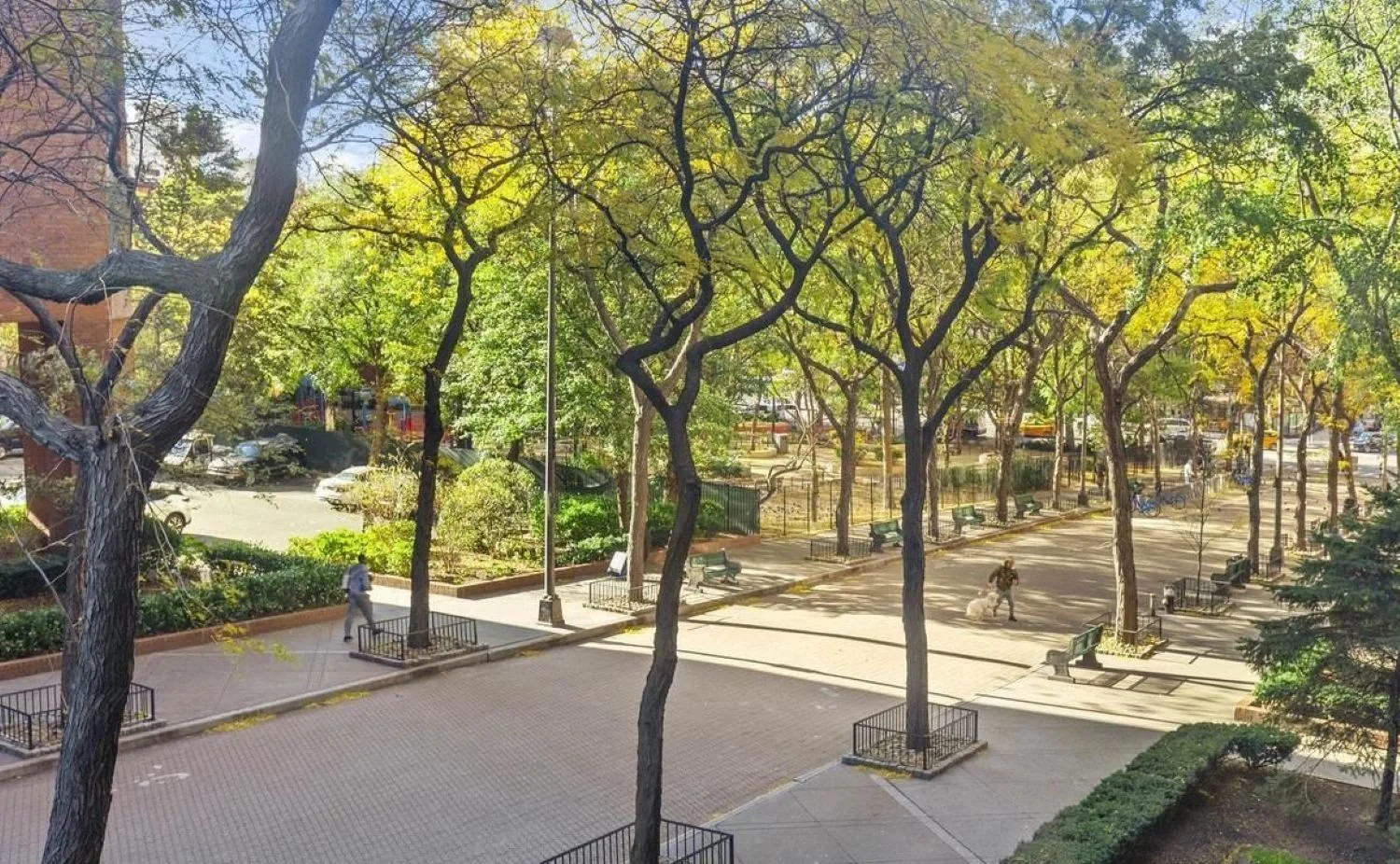 13-tree lined private street.jpg