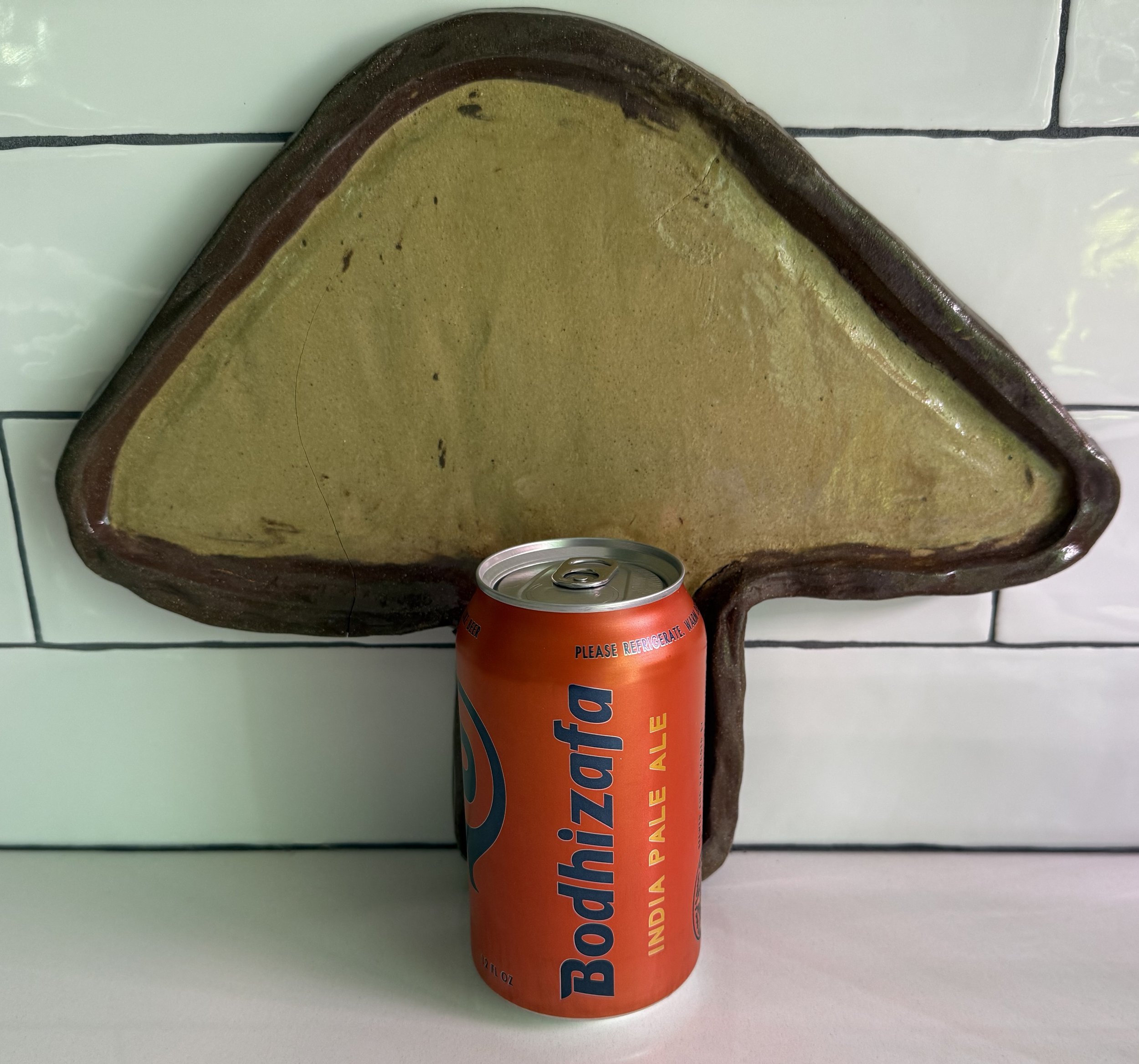 Fungus1.jpeg