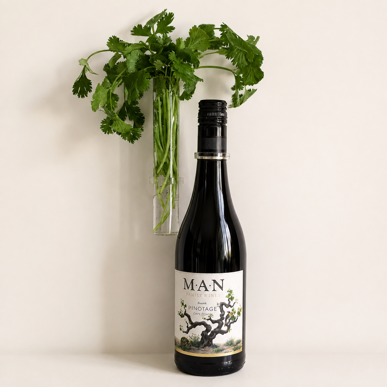 PLC_Wine_Plant_(FreshHerbVase)_rev.png