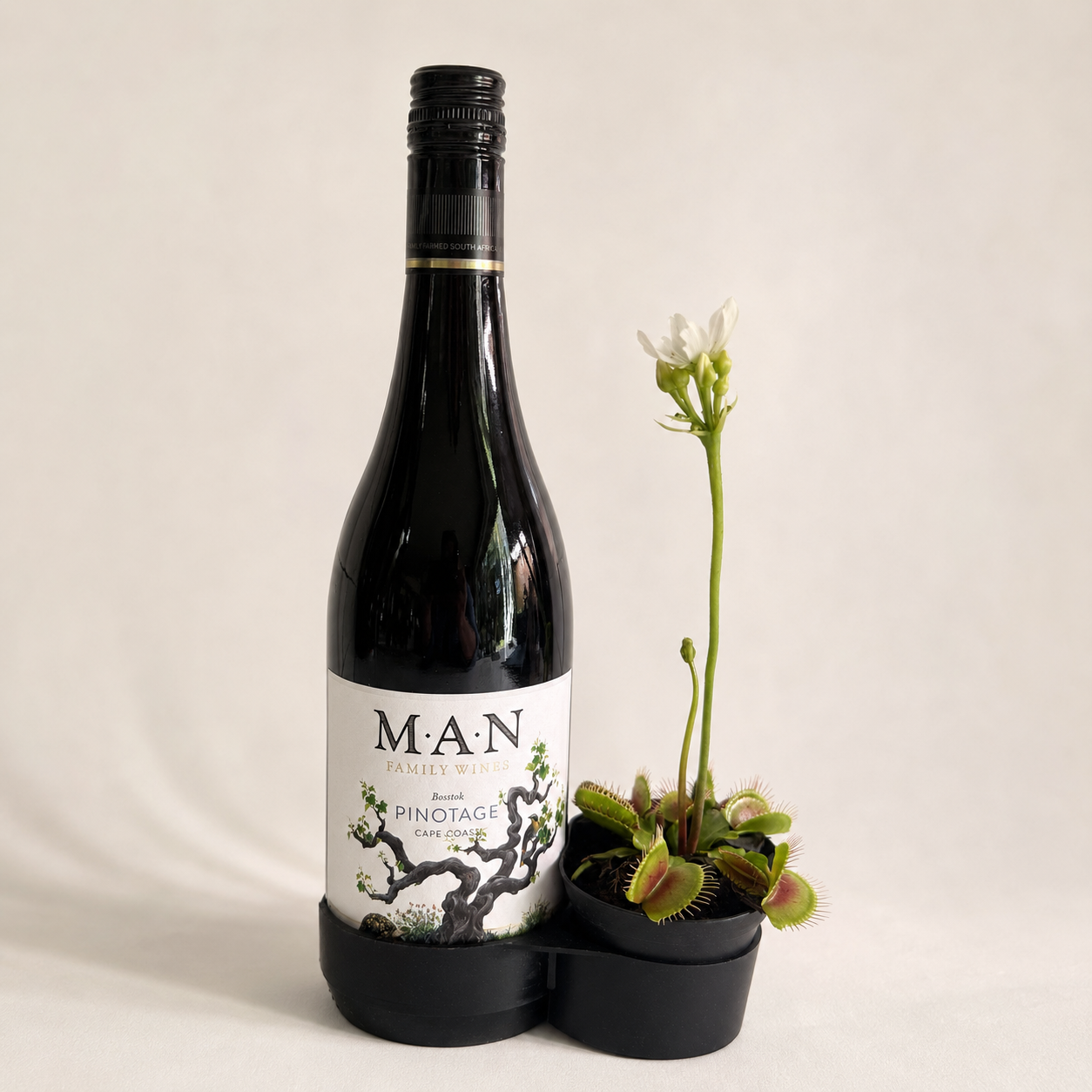 PLC_Wine_Plant_(VenusFlyTrap)_rev.png