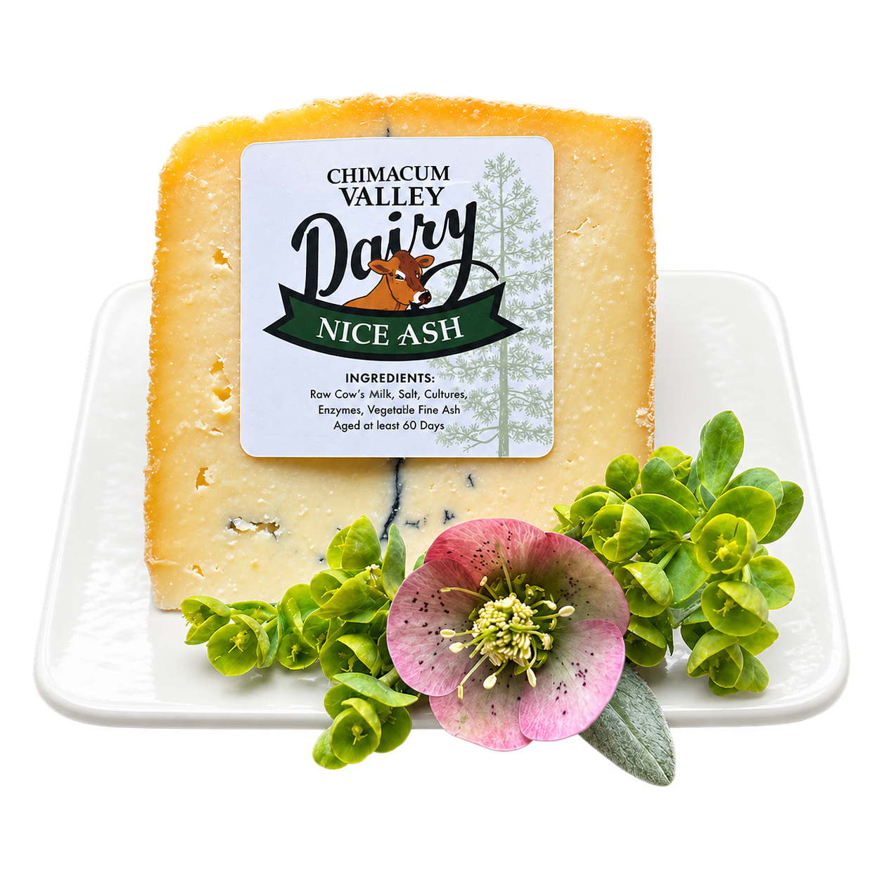 NiceAsh_Cheese_rev.png