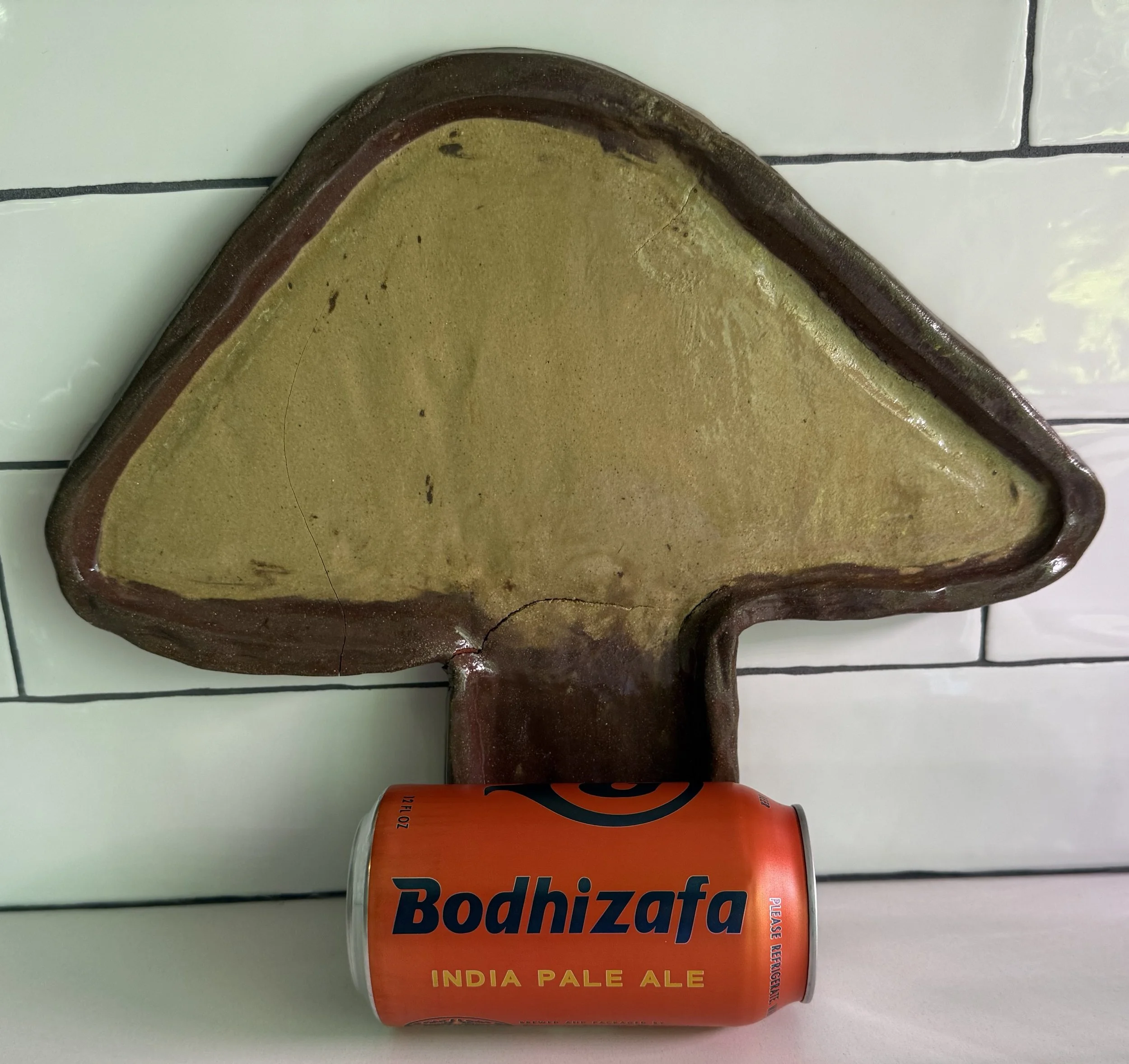 Fungus2.jpeg