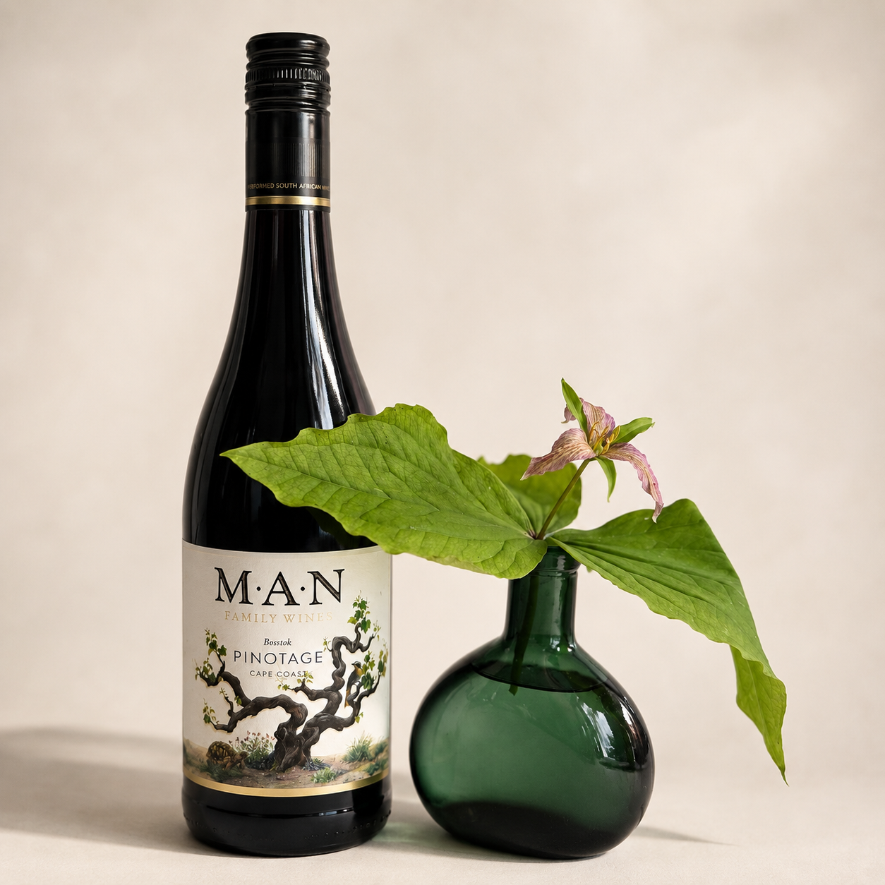PLC_Wine_Seed_Grow_Bloom4_rev.png