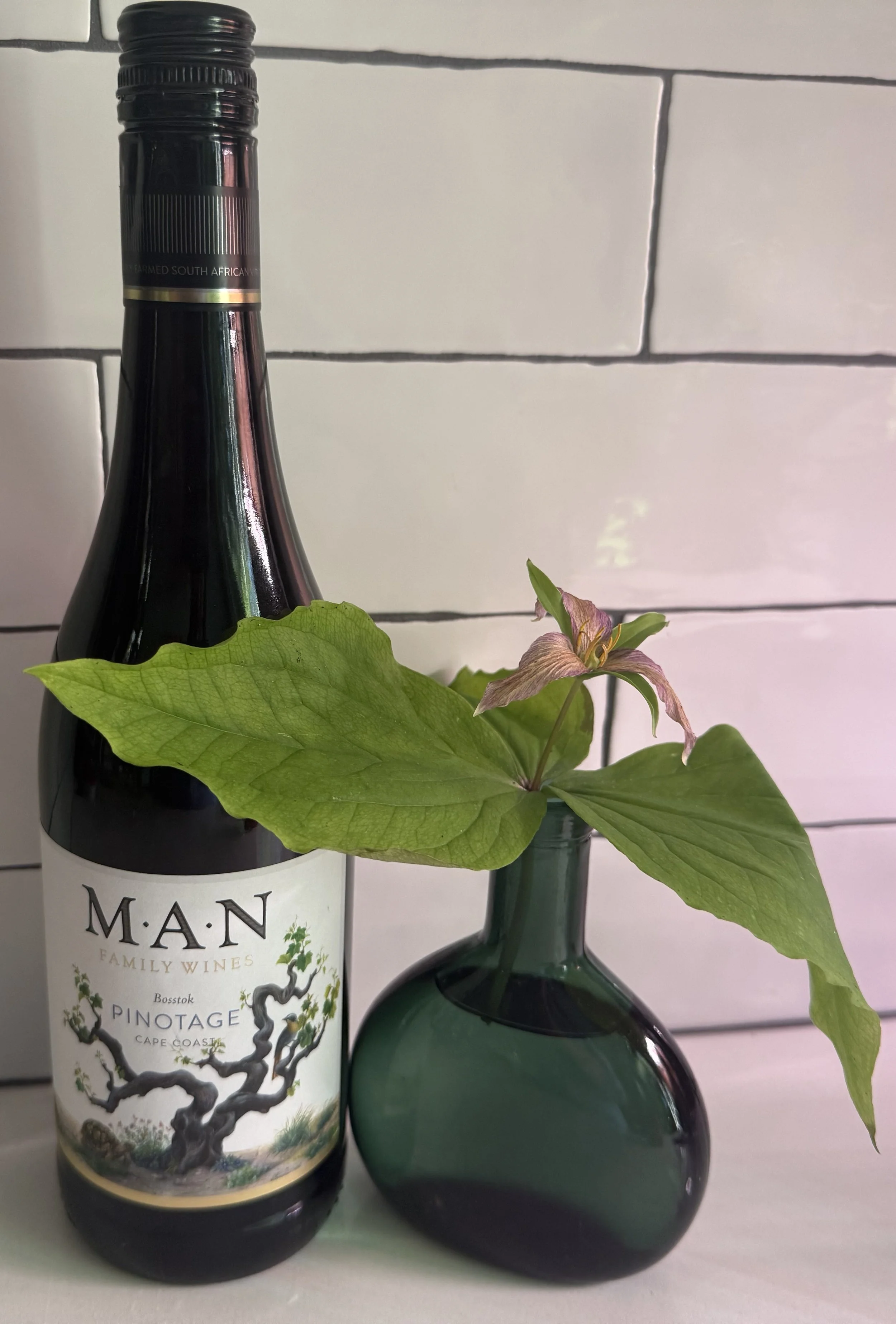 PLC_Wine_Seed_Grow_Bloom4.jpeg
