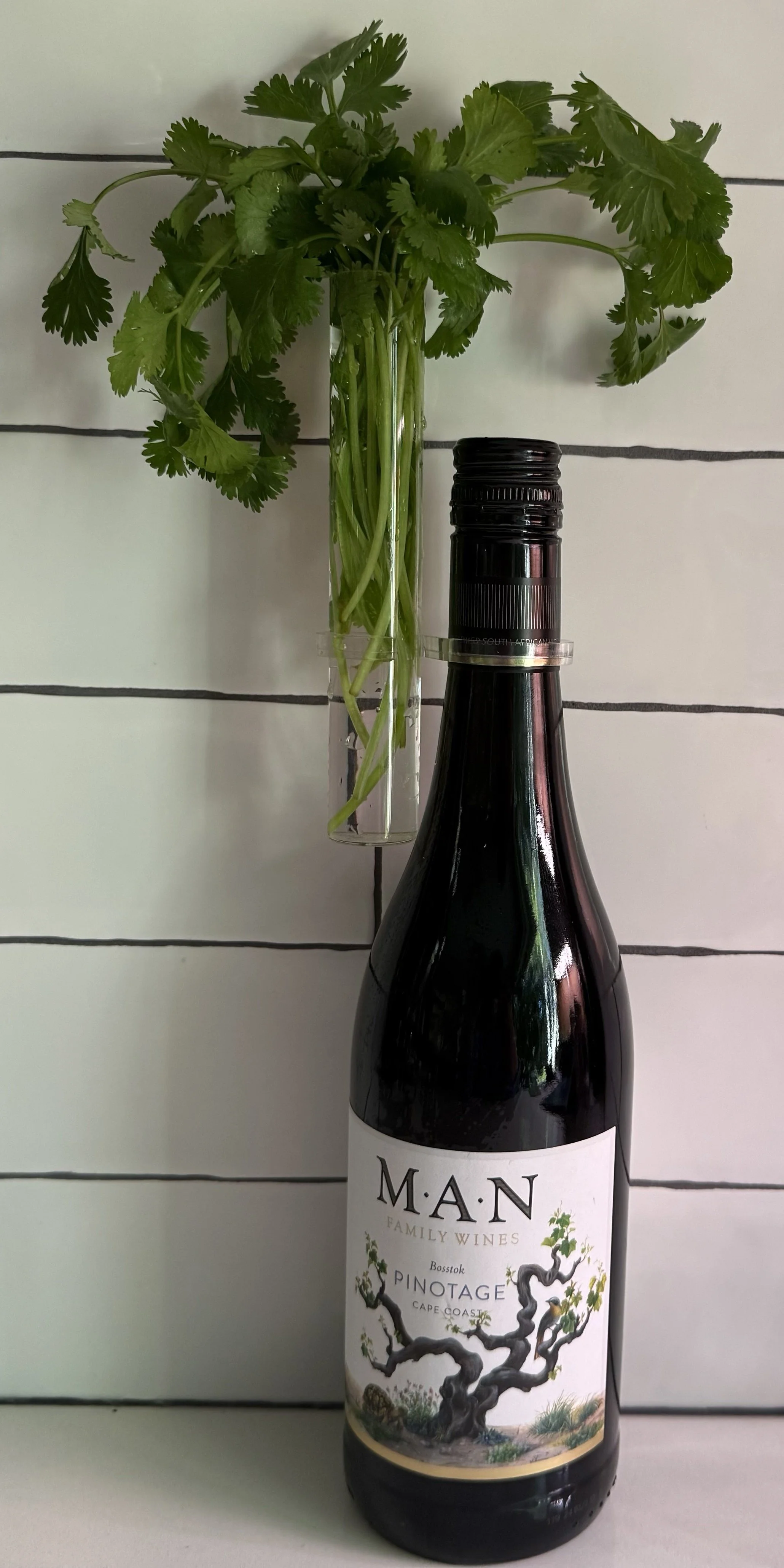 PLC_Wine_Plant_(FreshHerbVase).jpeg