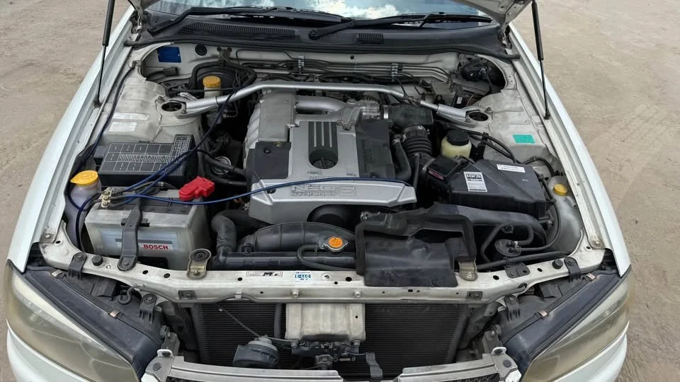 750402837_122215810706447731_935636433108583788_n.jpg