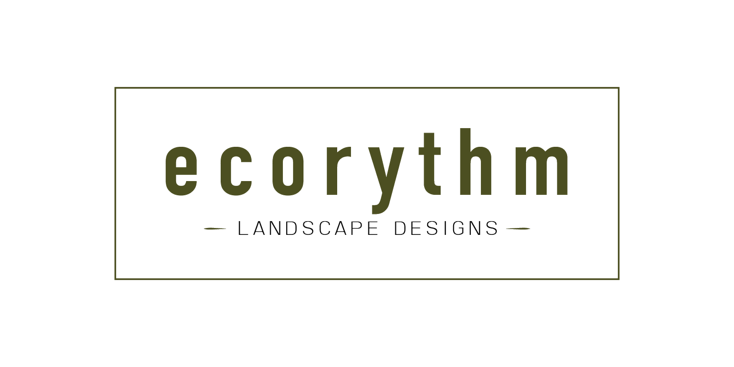 Ecorhythm 
