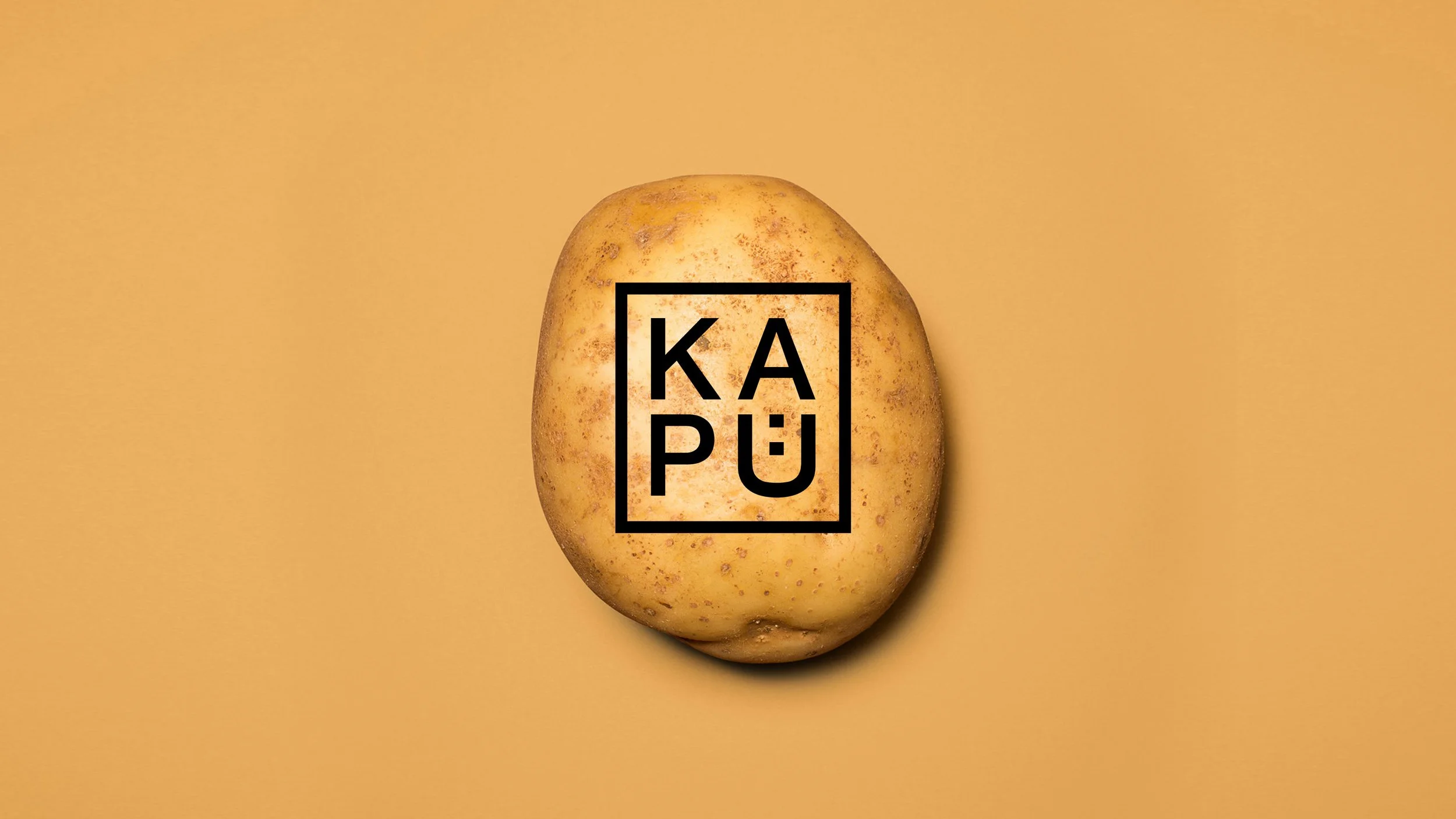 Kapü_3x.jpg