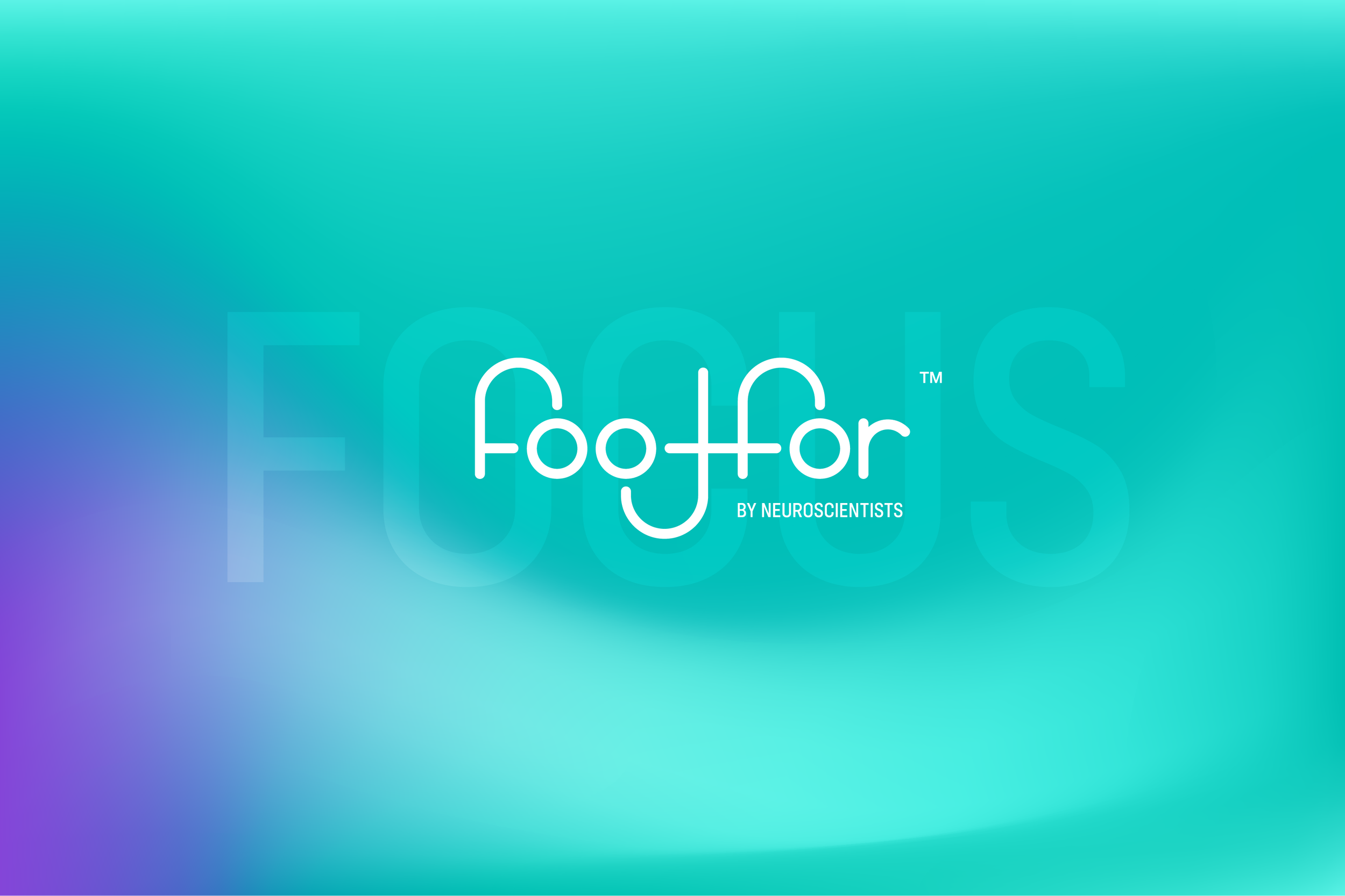 FF Visuals - focus with title.png