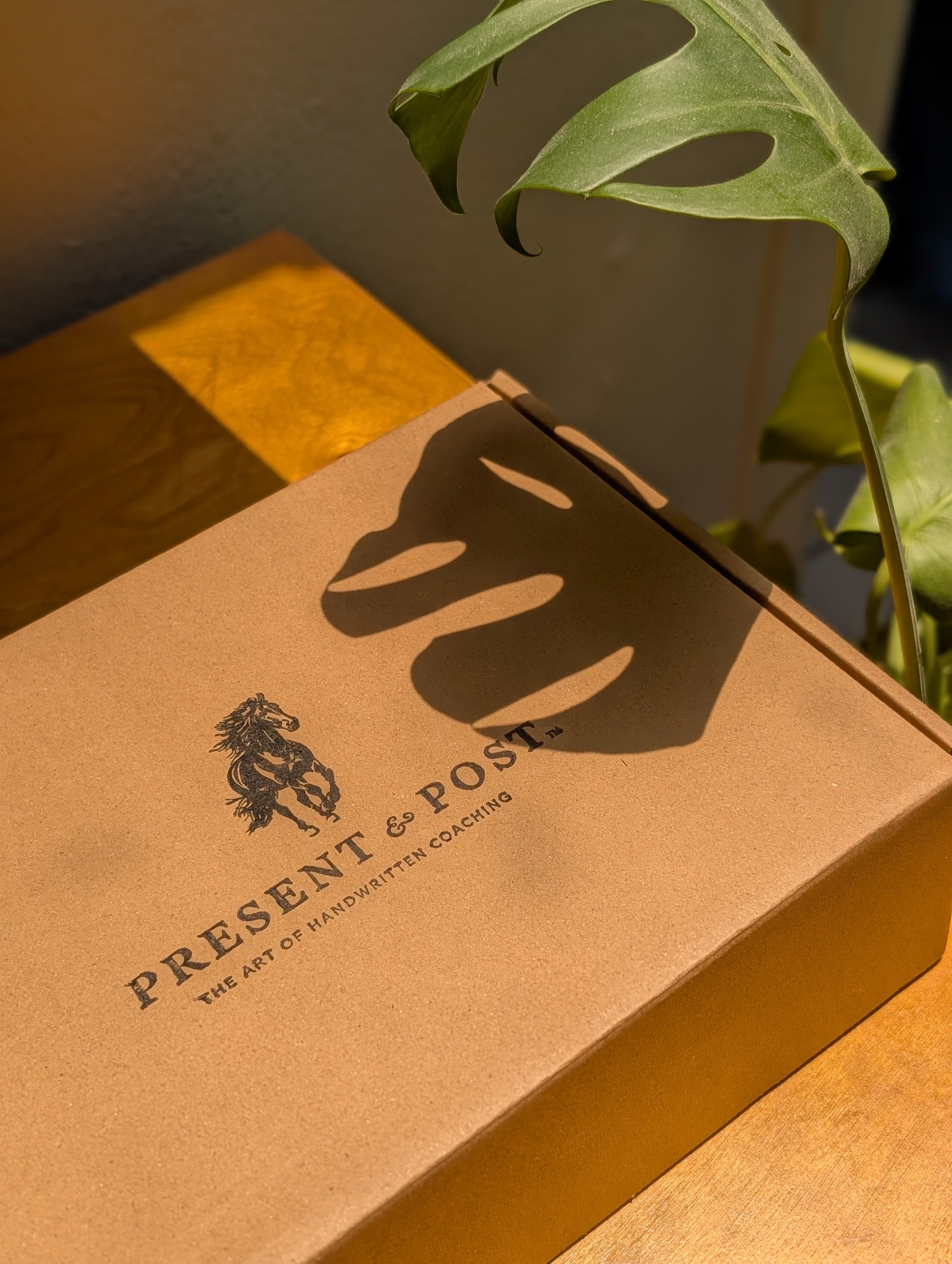 Gift a Present & Post Experience