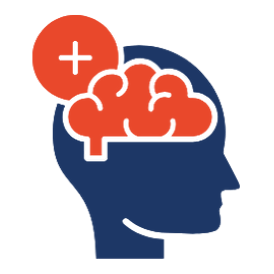 Profile of a person's head with a brain outline in red inside the head. A red circle with a plus sign is connected to the brain, indicating addition or growth.