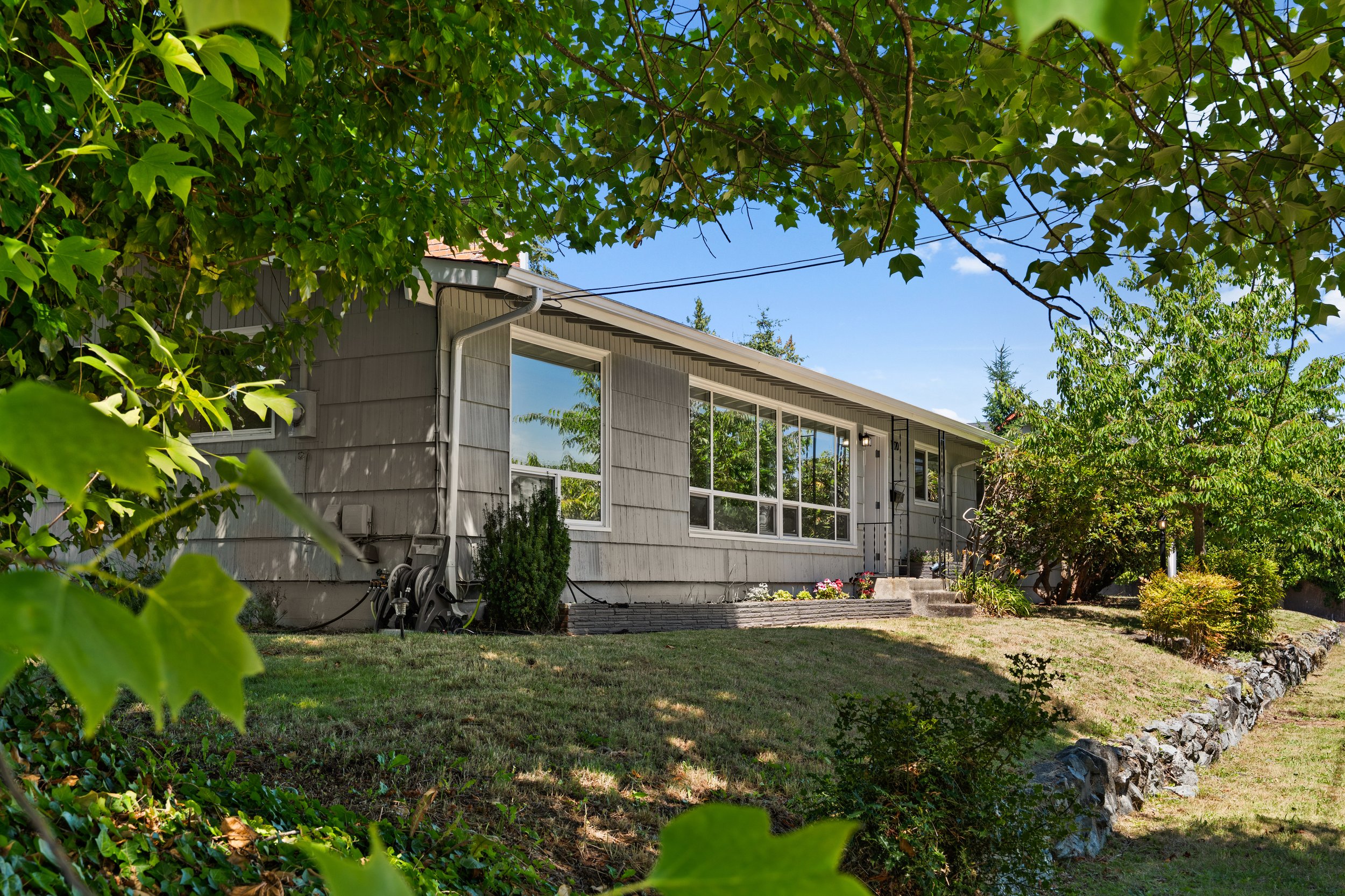 A house with large windows, partially obscured by green trees and shrubs, on a sunny day with a clear blue sky.