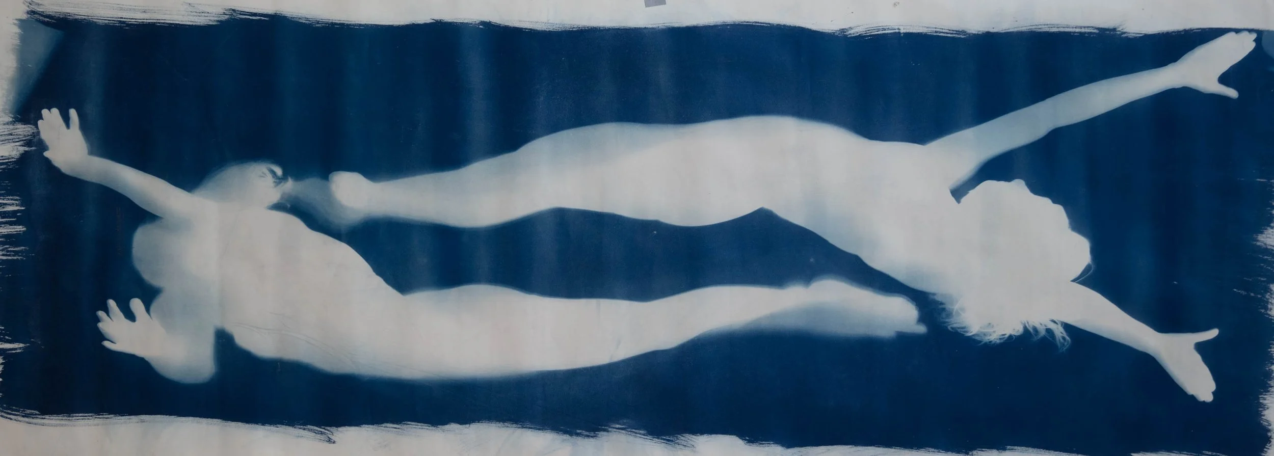 Fonseca - Catch II - Cyanotype on Watercolor Paper - 44 x 120.jpg