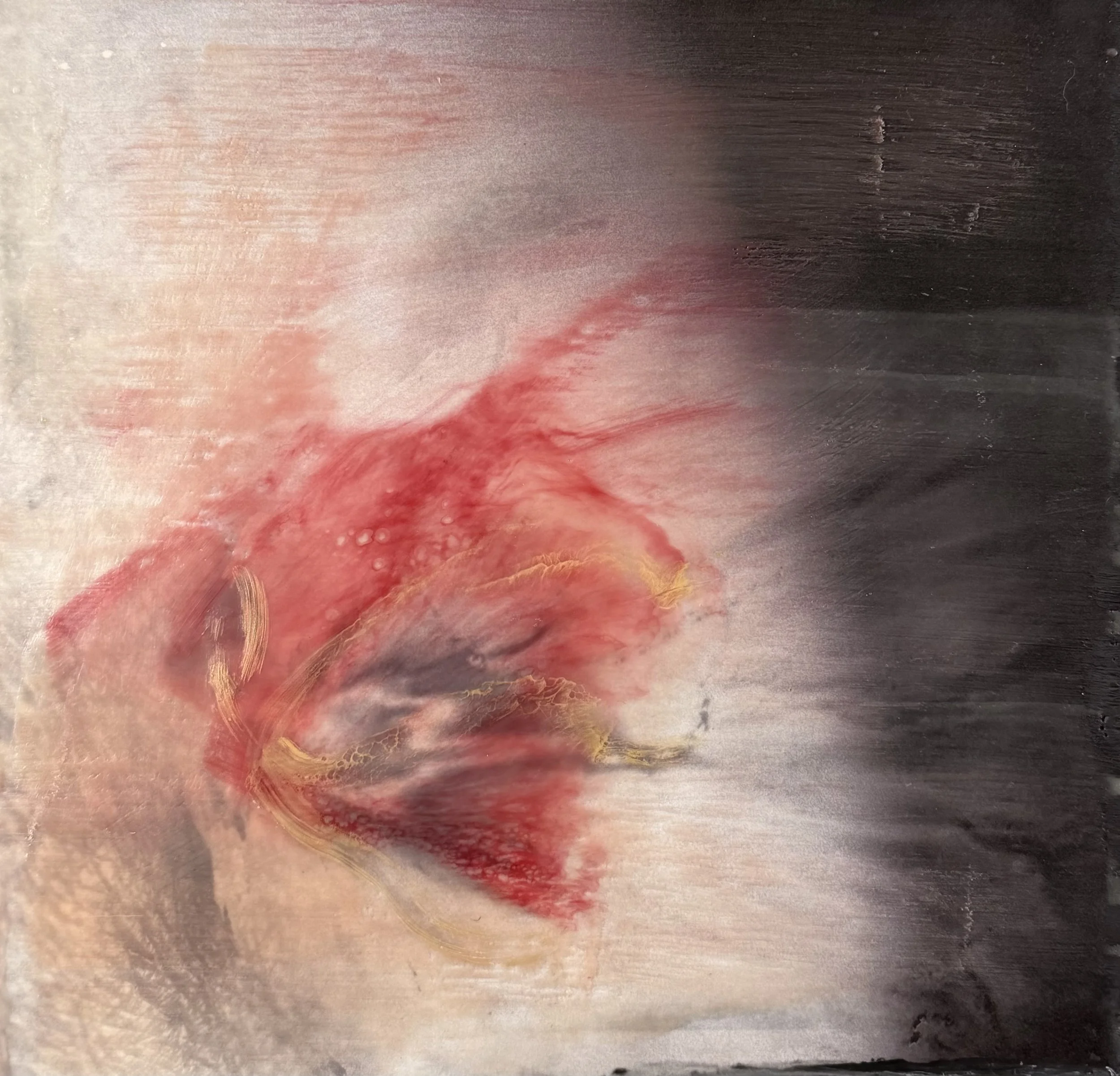 Eileen MacAvery