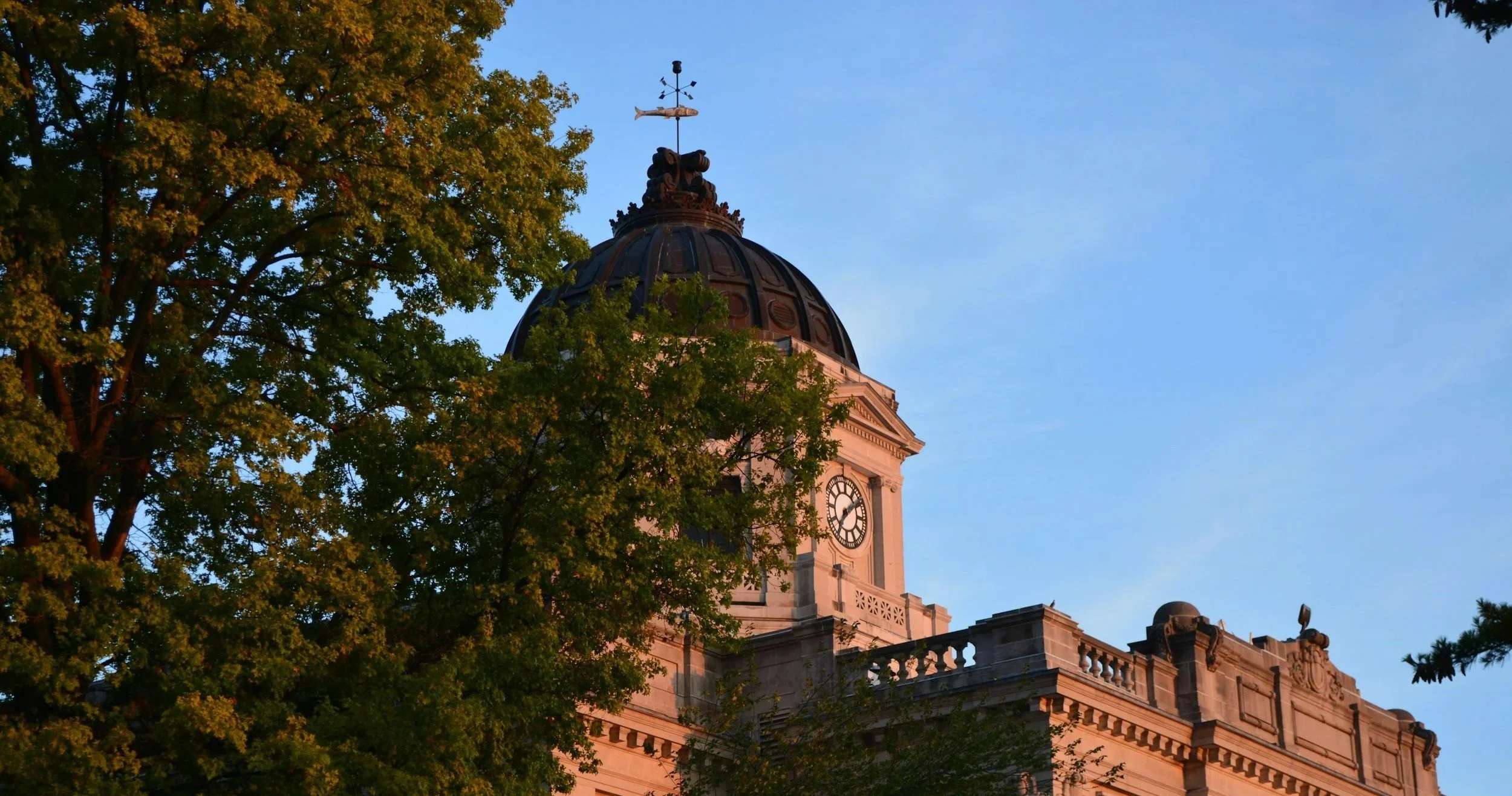 The historic Monroe County Courthouse roof partially covered by trees, with a blue sky in the background.