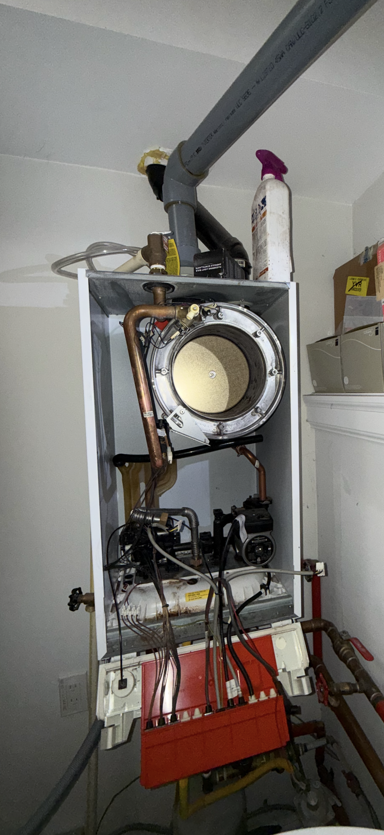 Viessman Vitodens 100W annual service with new ignition