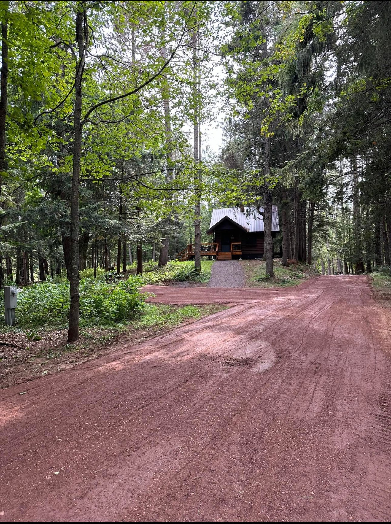 A small cabin with a metal roof surrounded by tall trees in a forest. A dirt road and a gravel path lead to the cabin, with lush green foliage all around.