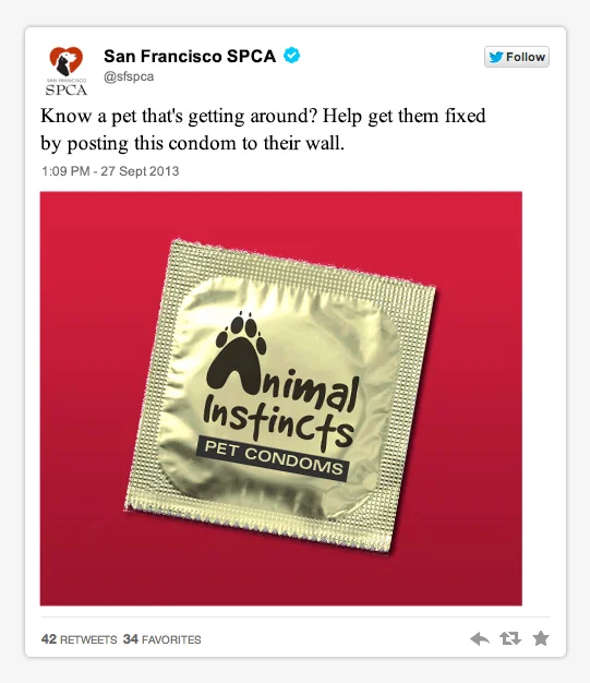 Pet Condom Tweet